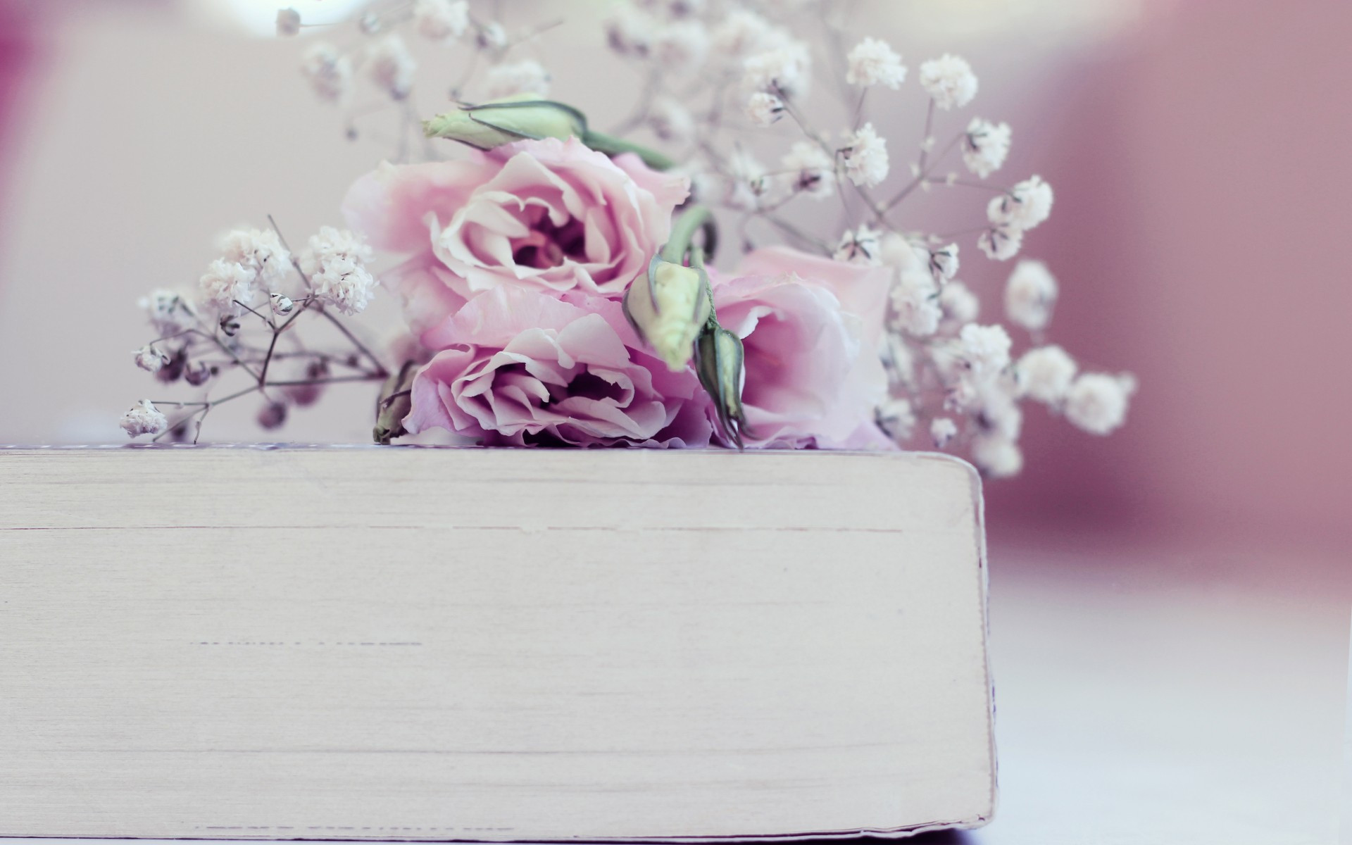 小清新 简单 和谐 宽屏