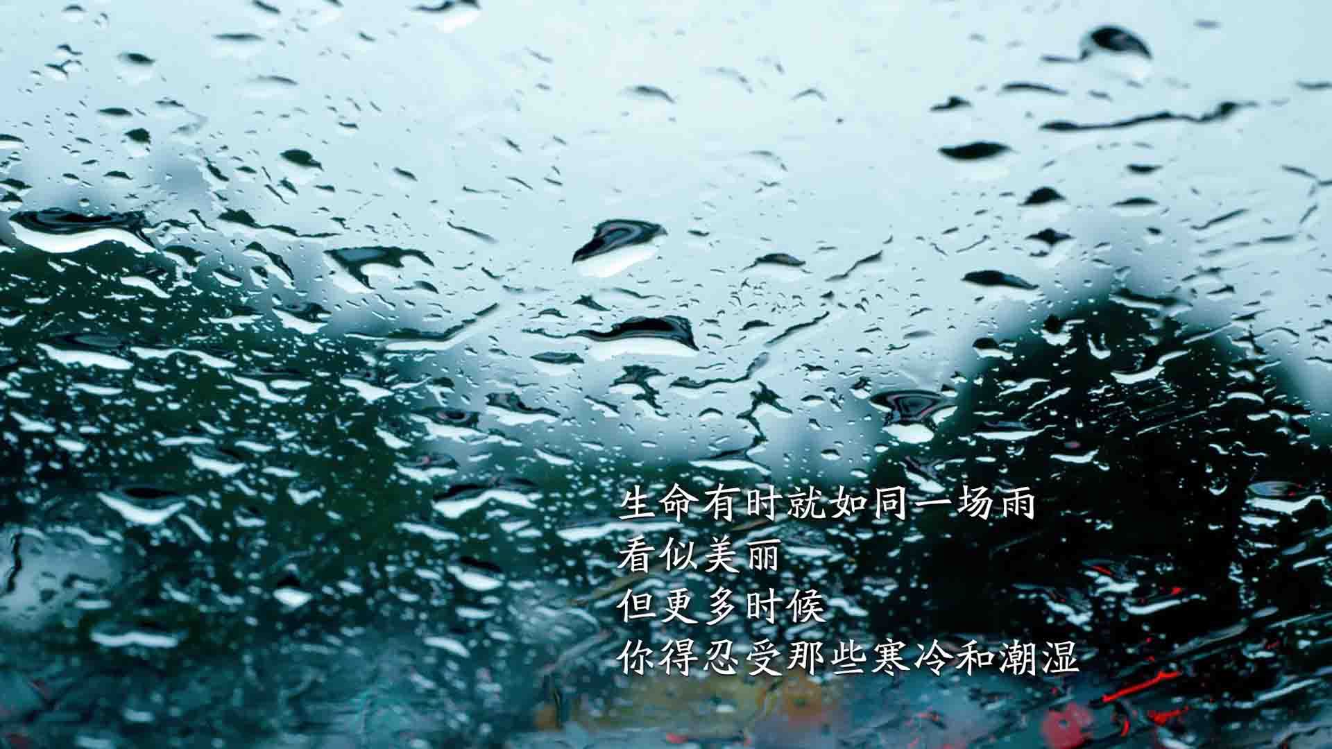 励志 励志名言 言之有理 宽屏