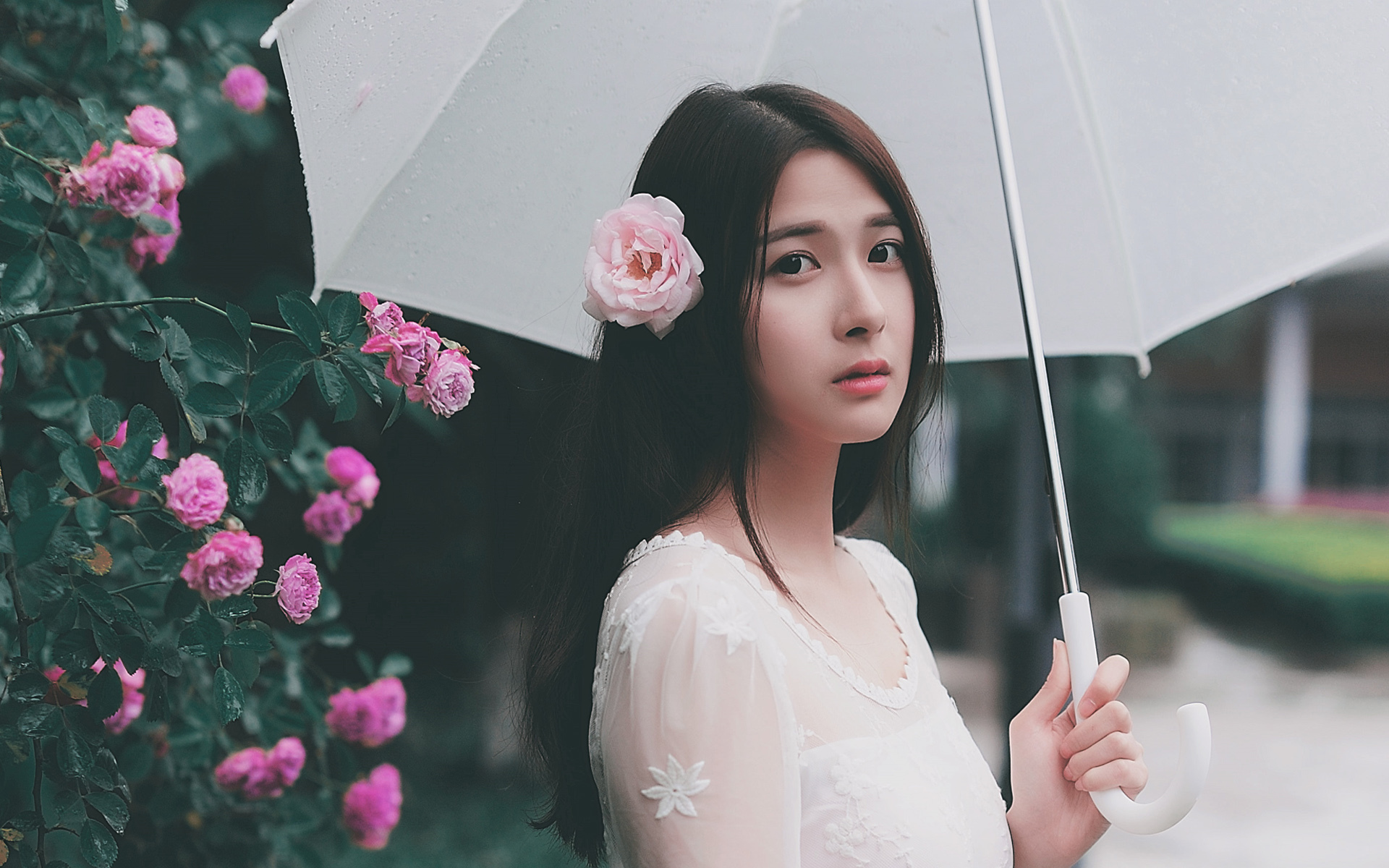 文艺古风 唯美 花朵 雨伞