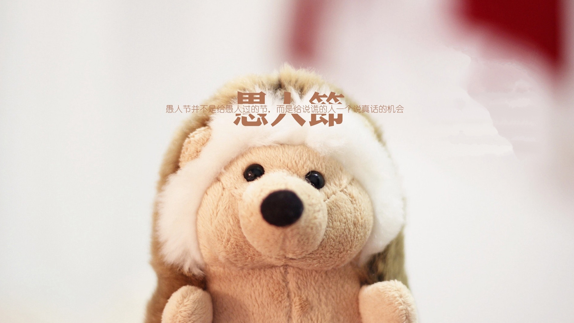 愚人节 文字 毛绒玩具