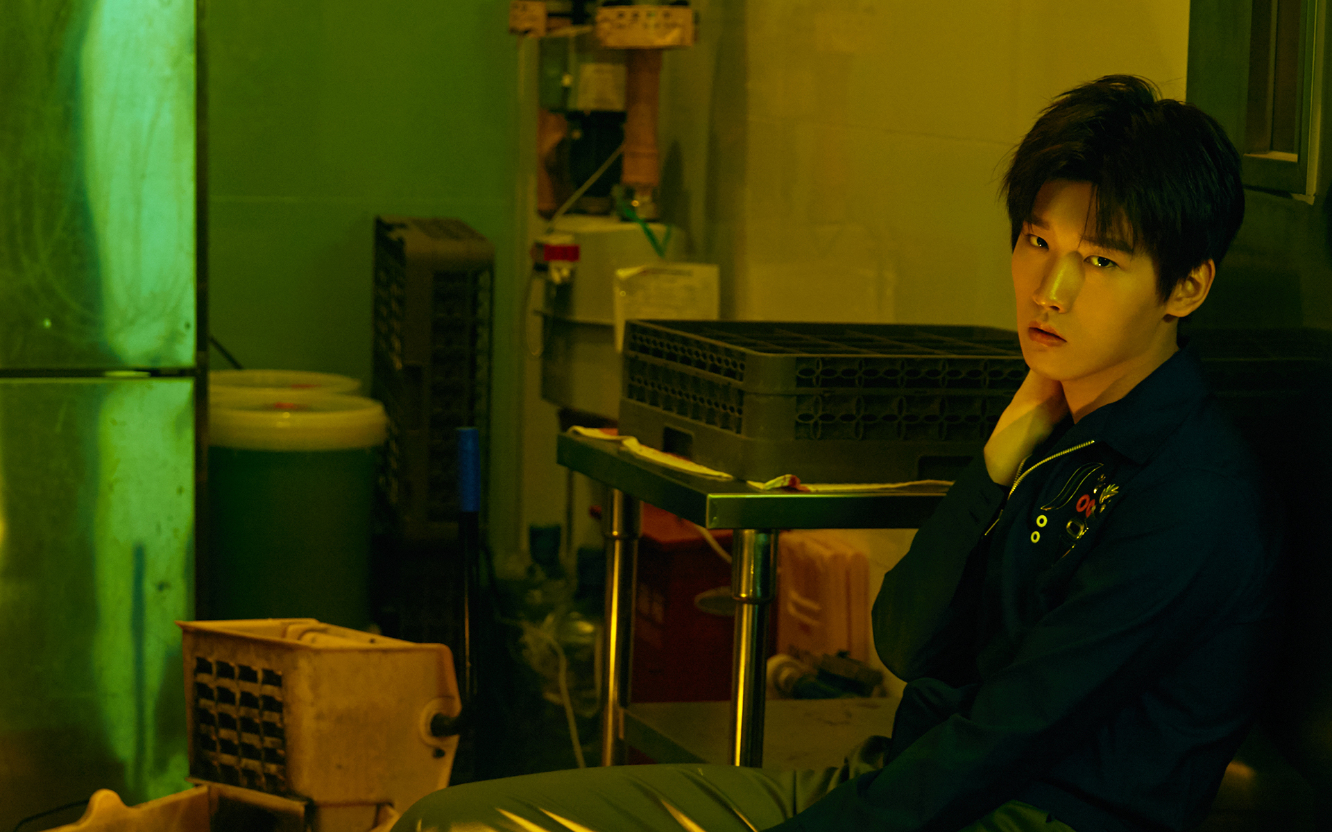 内地明星 邢昭林