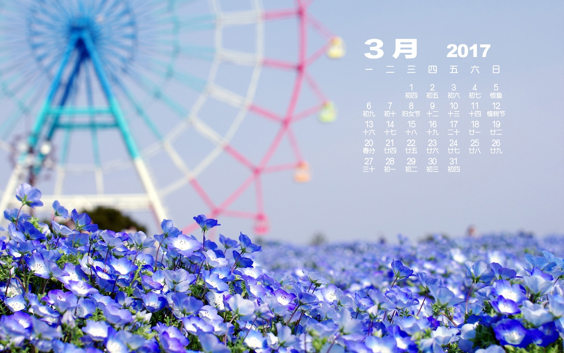 2017年3月 花海 摩天轮