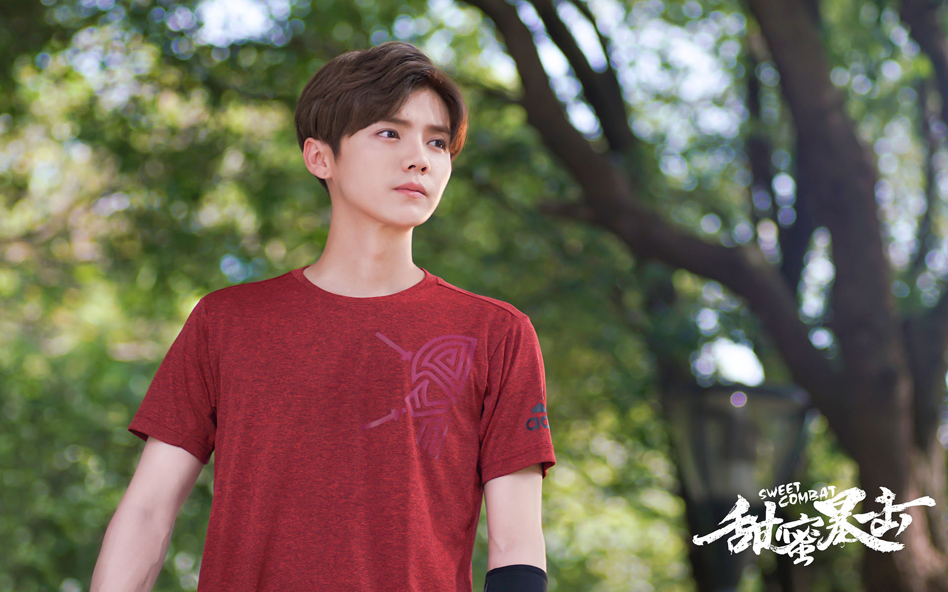 影视剧照  甜蜜暴击  鹿晗