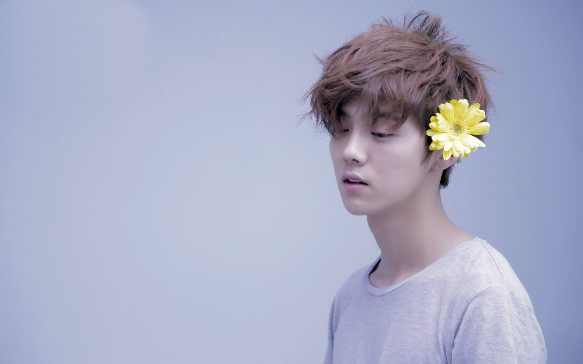 鹿晗 小清新 小黄花