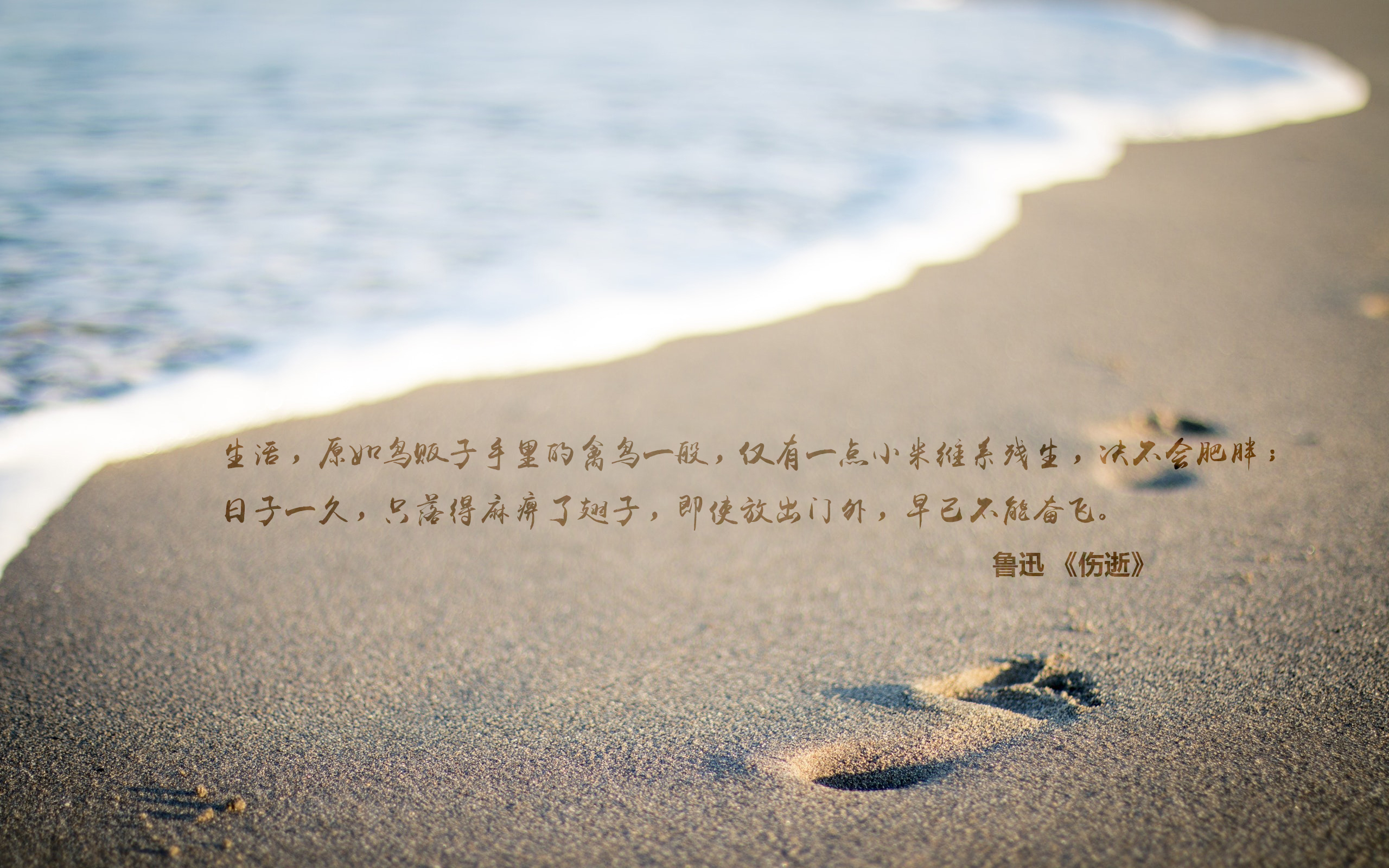 文字 语录 鲁迅 伤逝