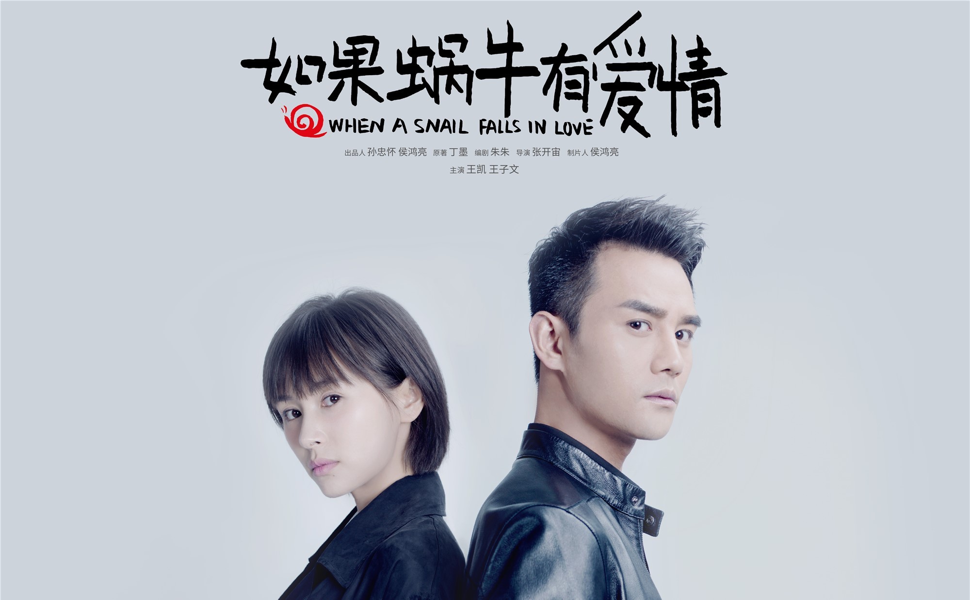 如果蜗牛有爱情 王凯 王子文 明星
