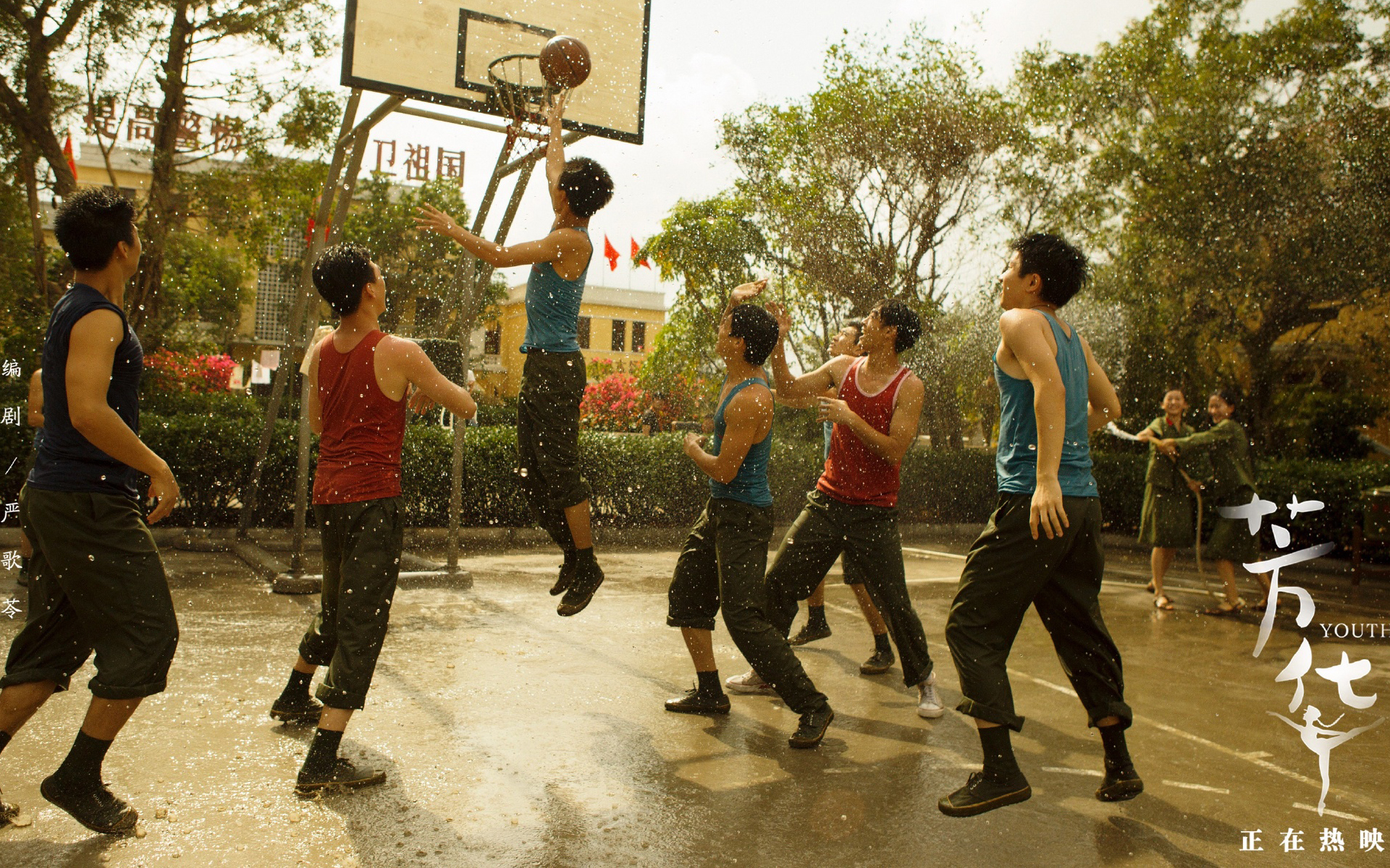 影视 电影 芳华