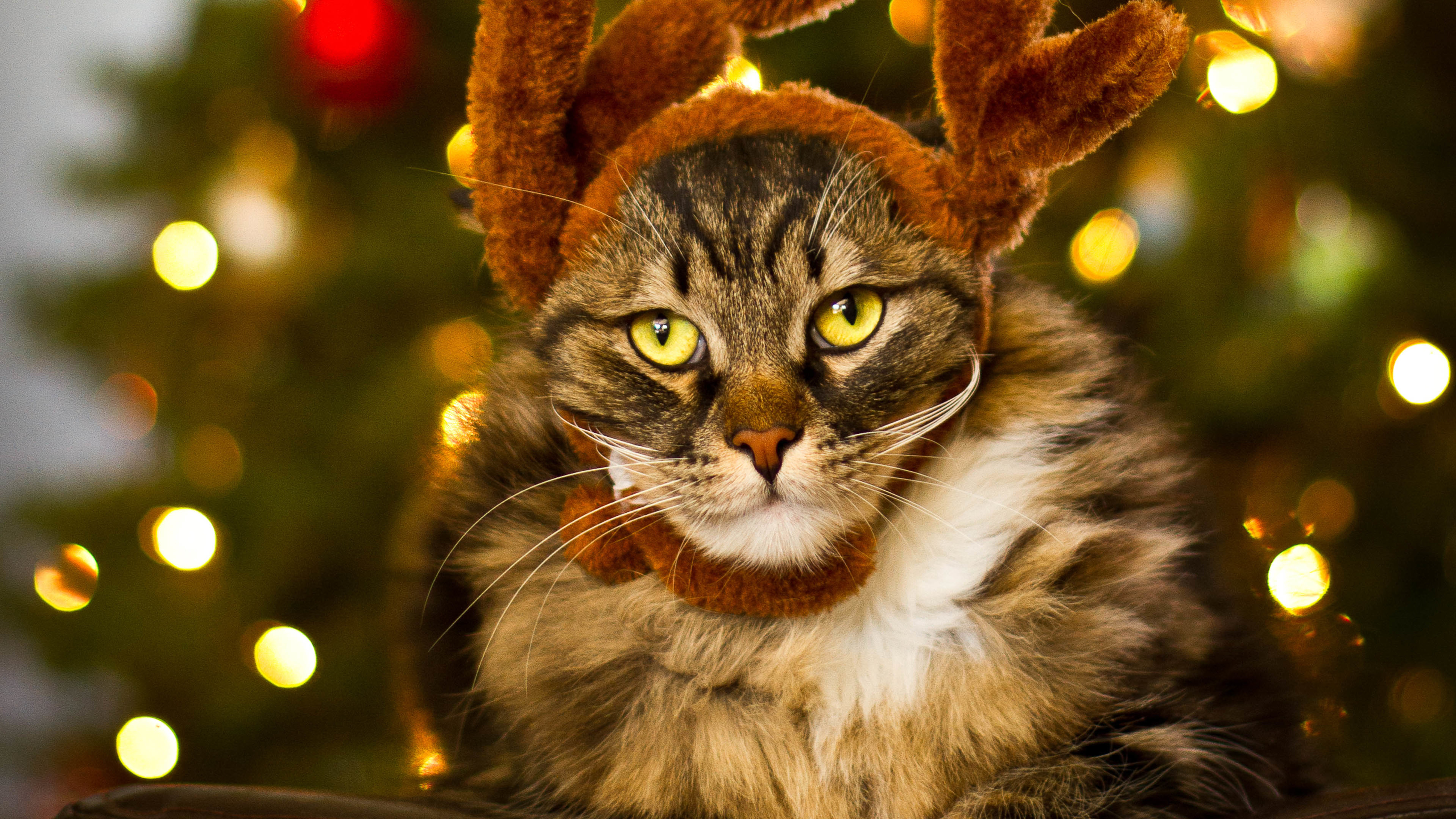 喵星人 猫 头饰