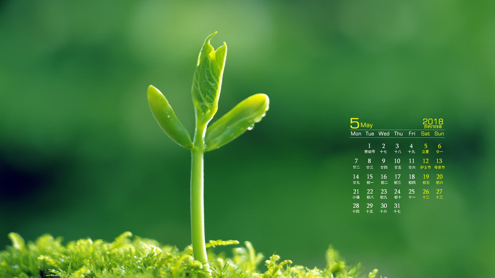 月历 2018年5月