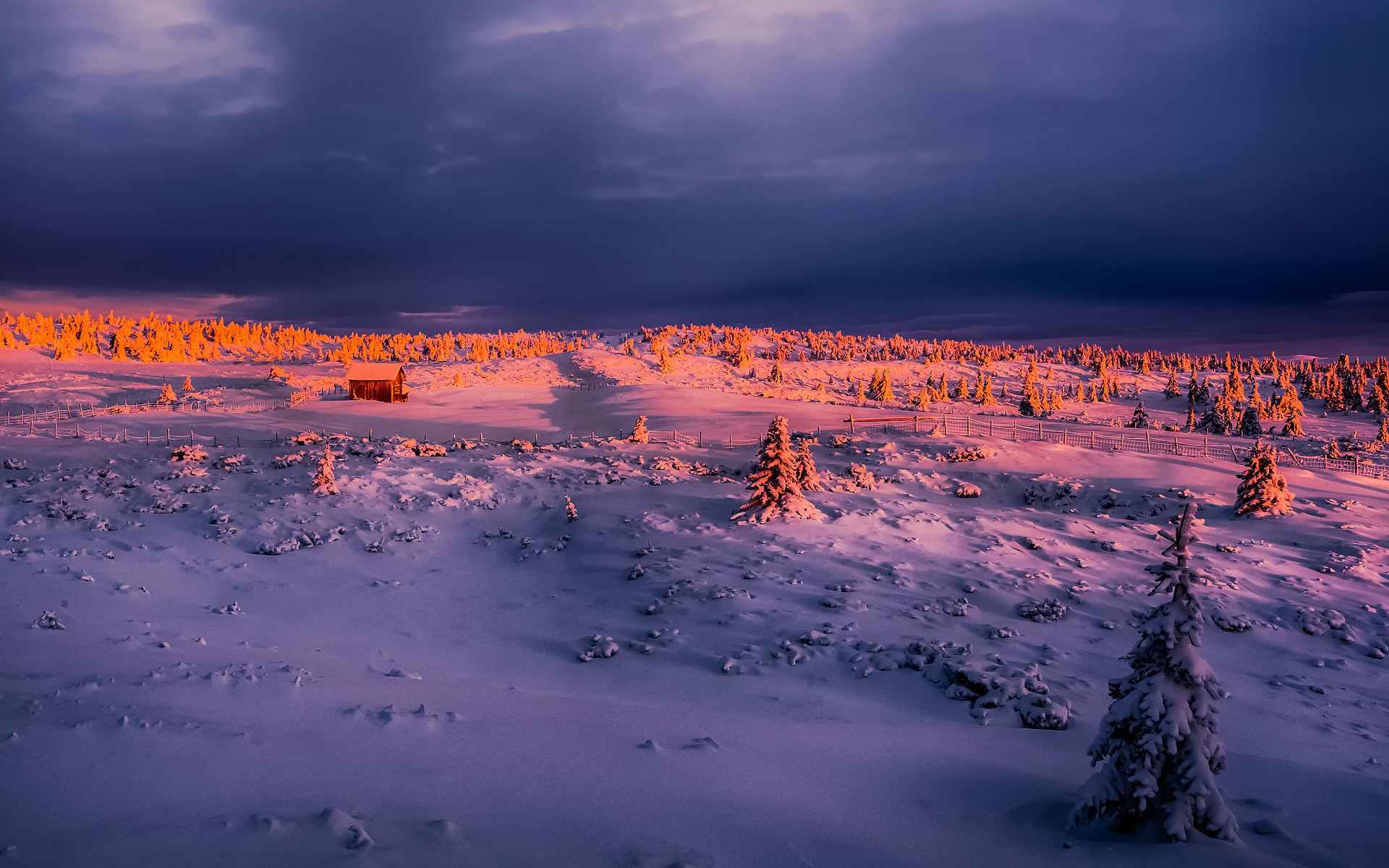风景  自然美景  雪地   宽屏