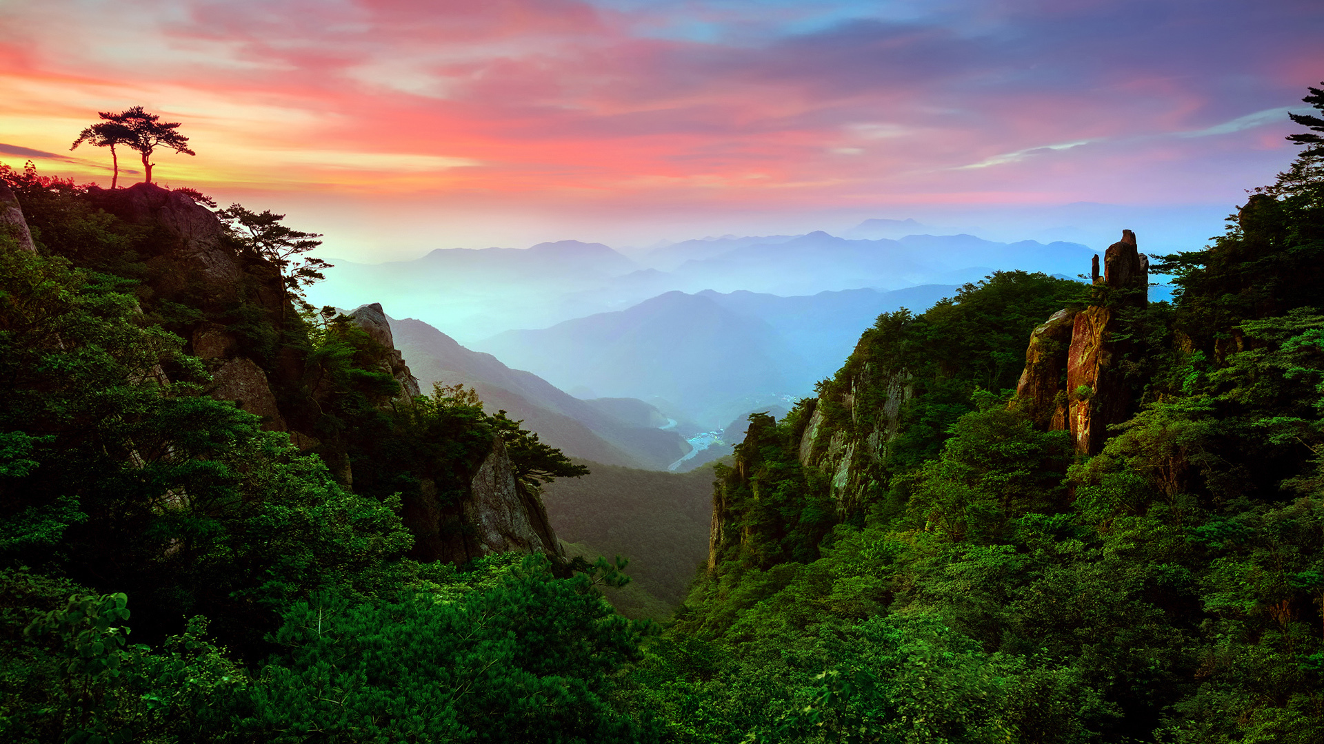 森林 风景