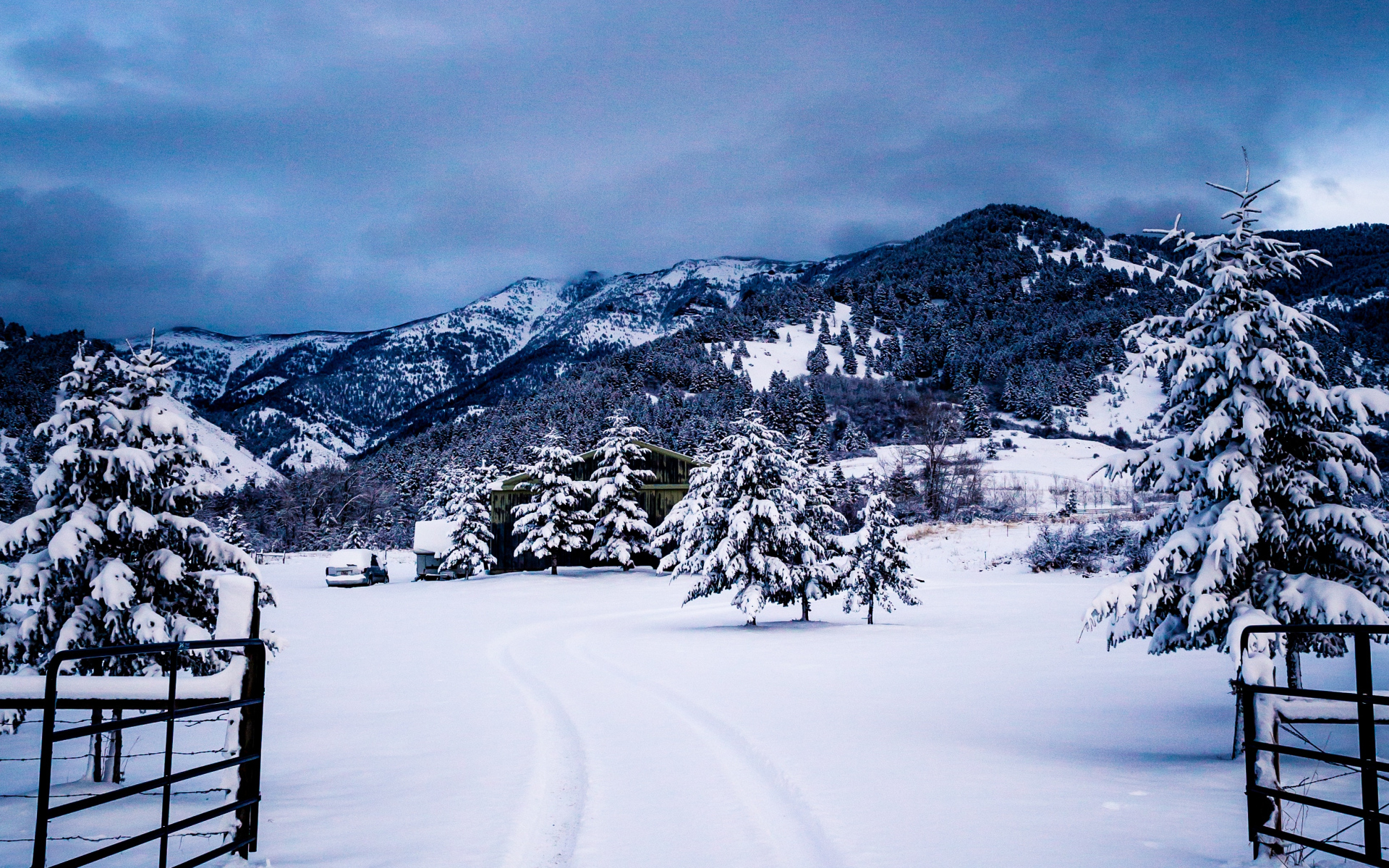 风景 冰天雪地 雪景