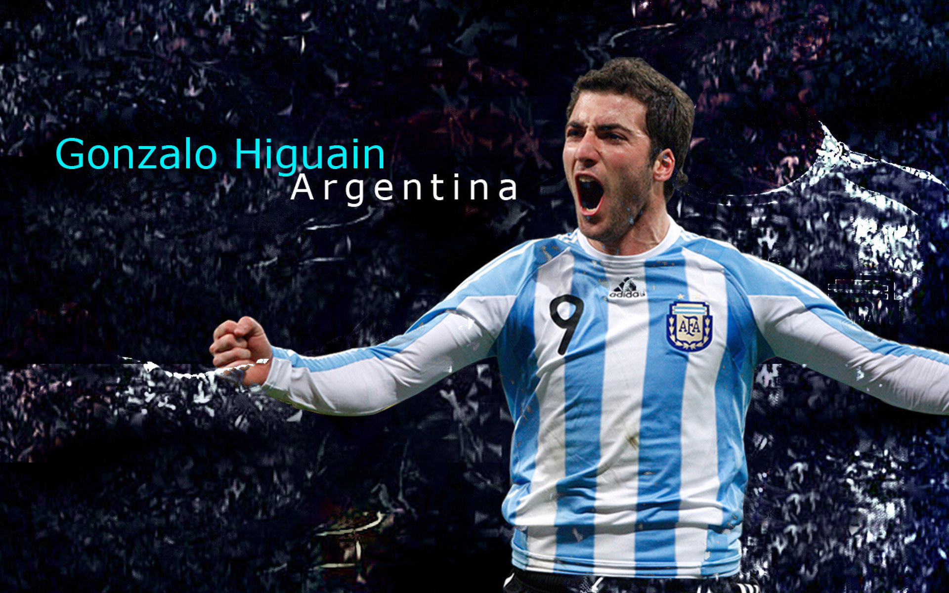 阿根廷球星   冈萨洛·伊瓜因