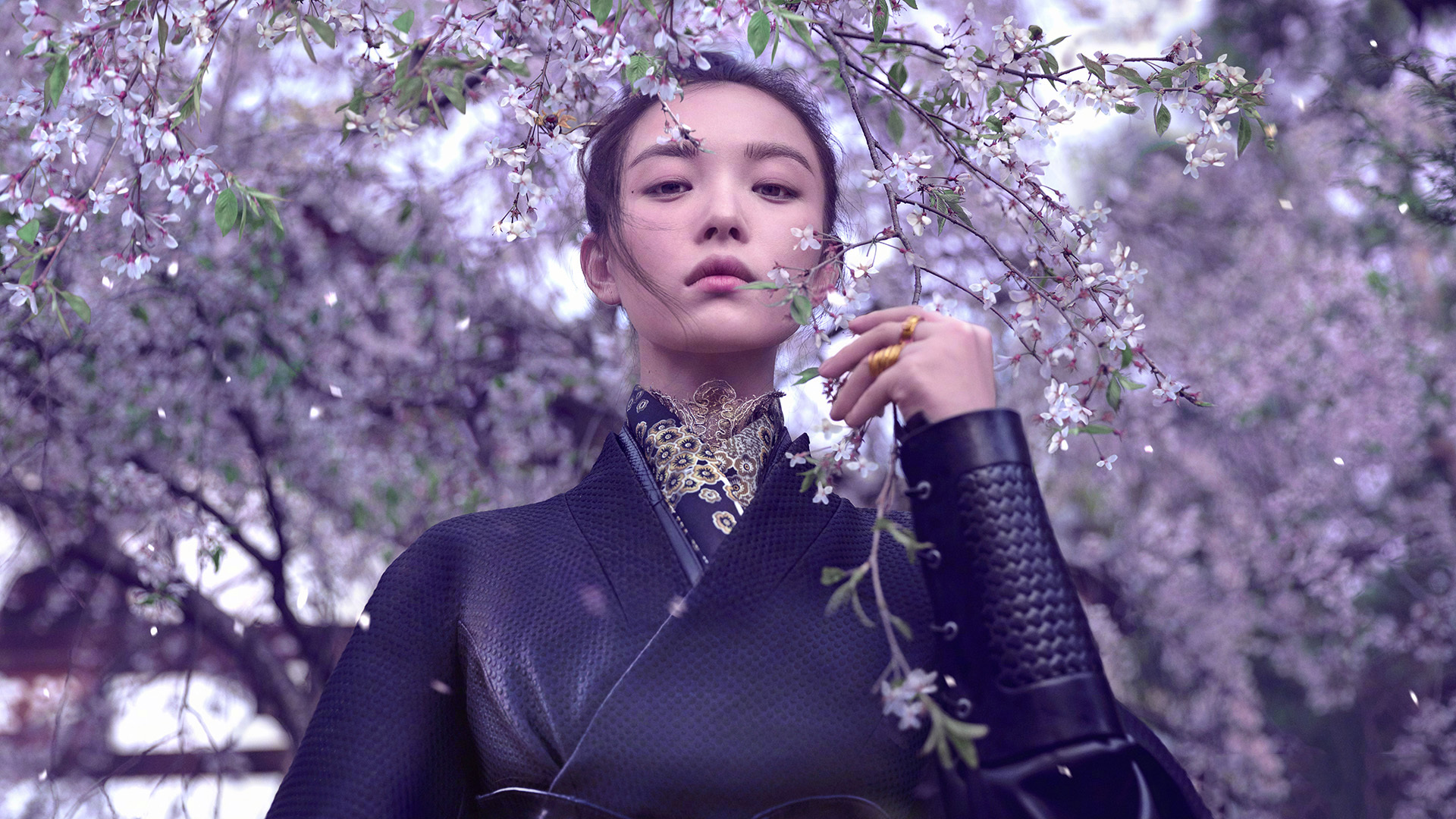 女明星 倪妮 古装