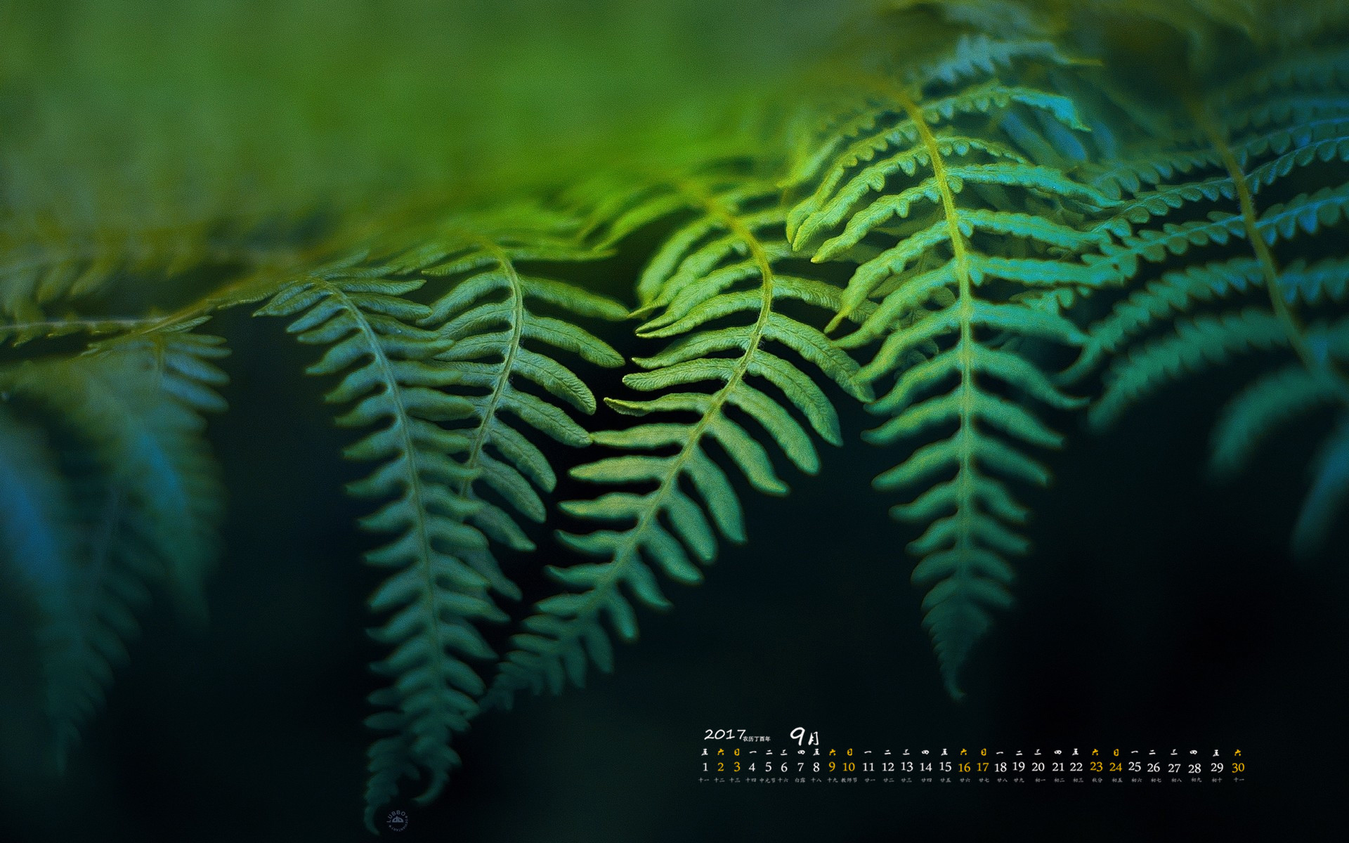 月历 2017年9月