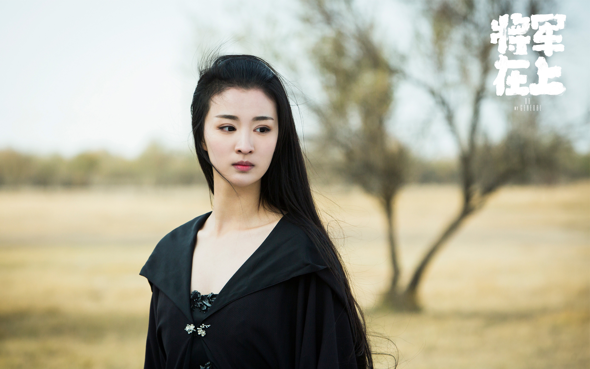 影视 电视剧 将军在上