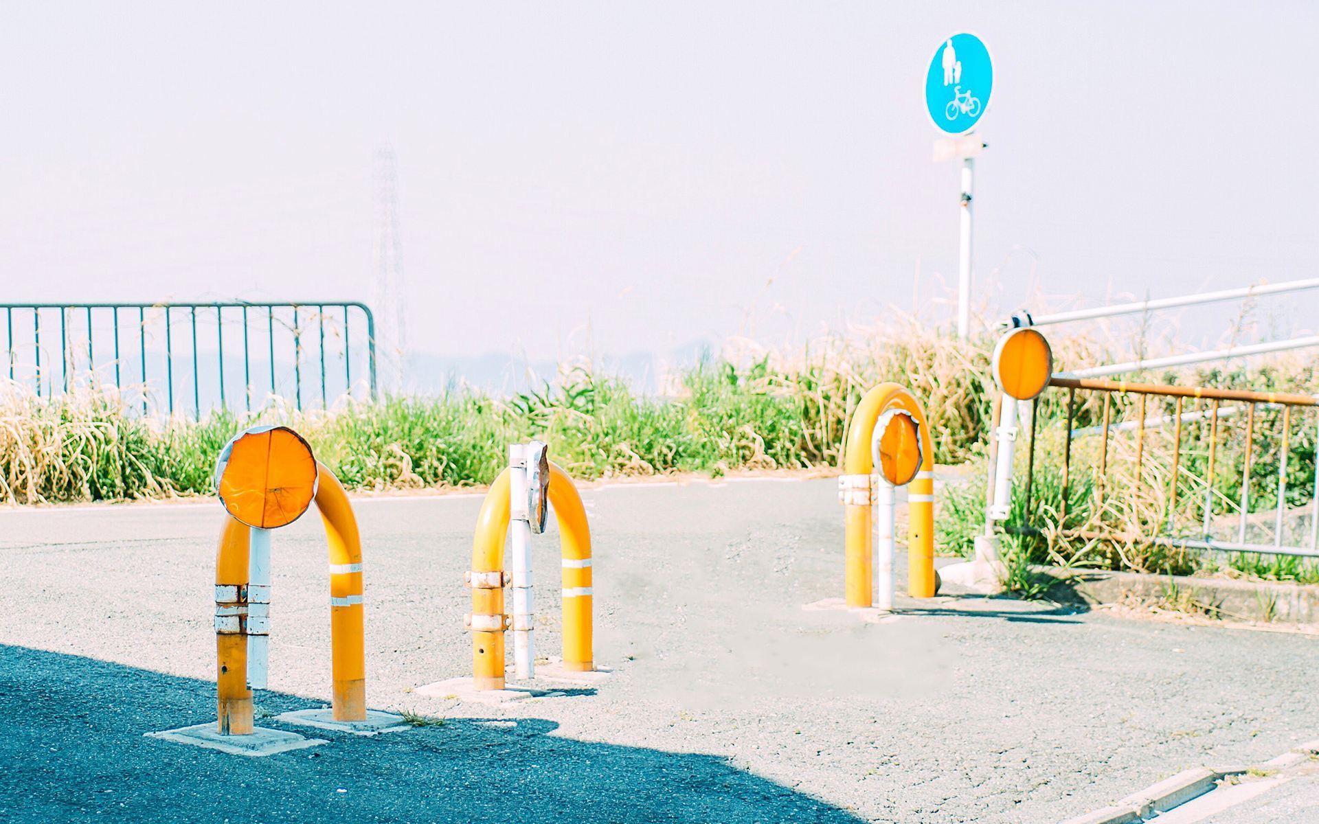 静物写真  简单小清新桌面