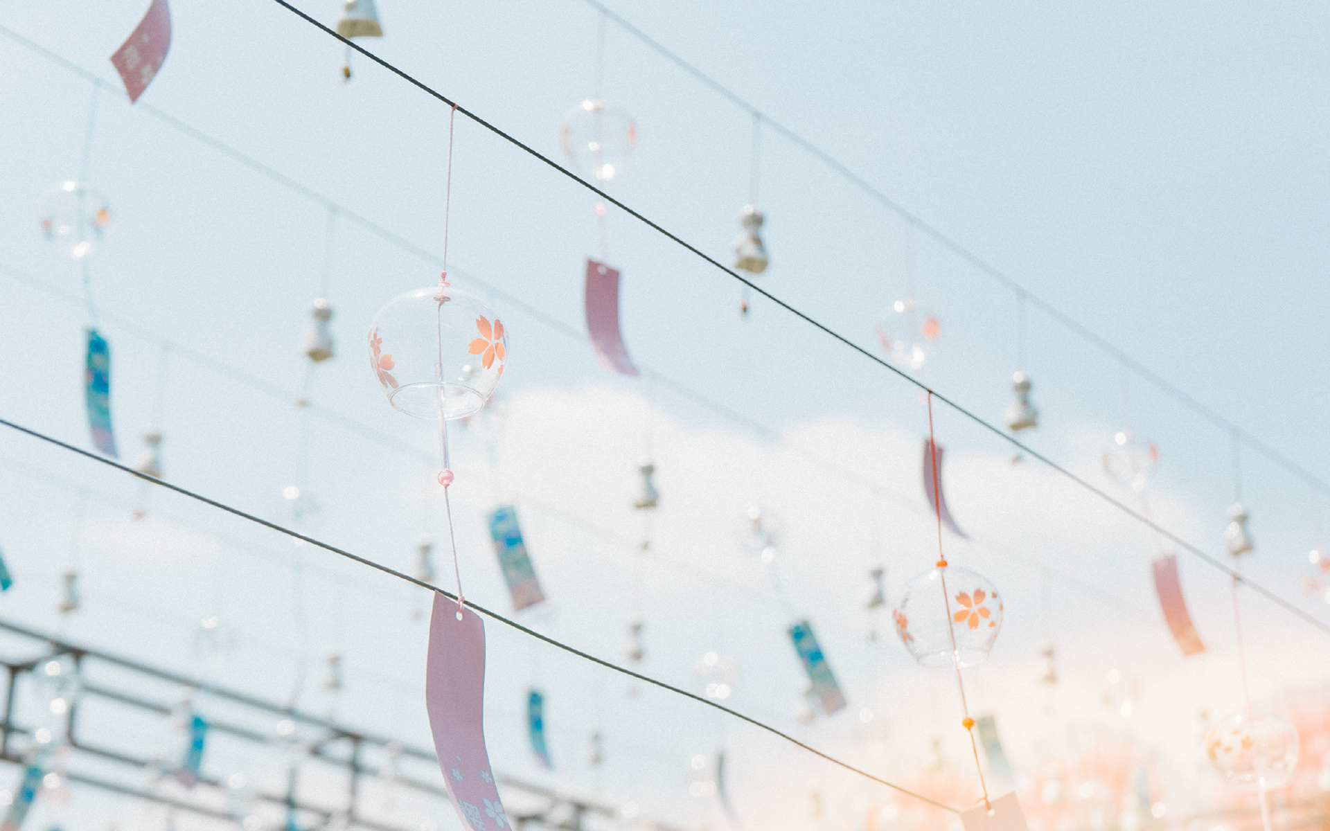 静物写真 文艺小清新