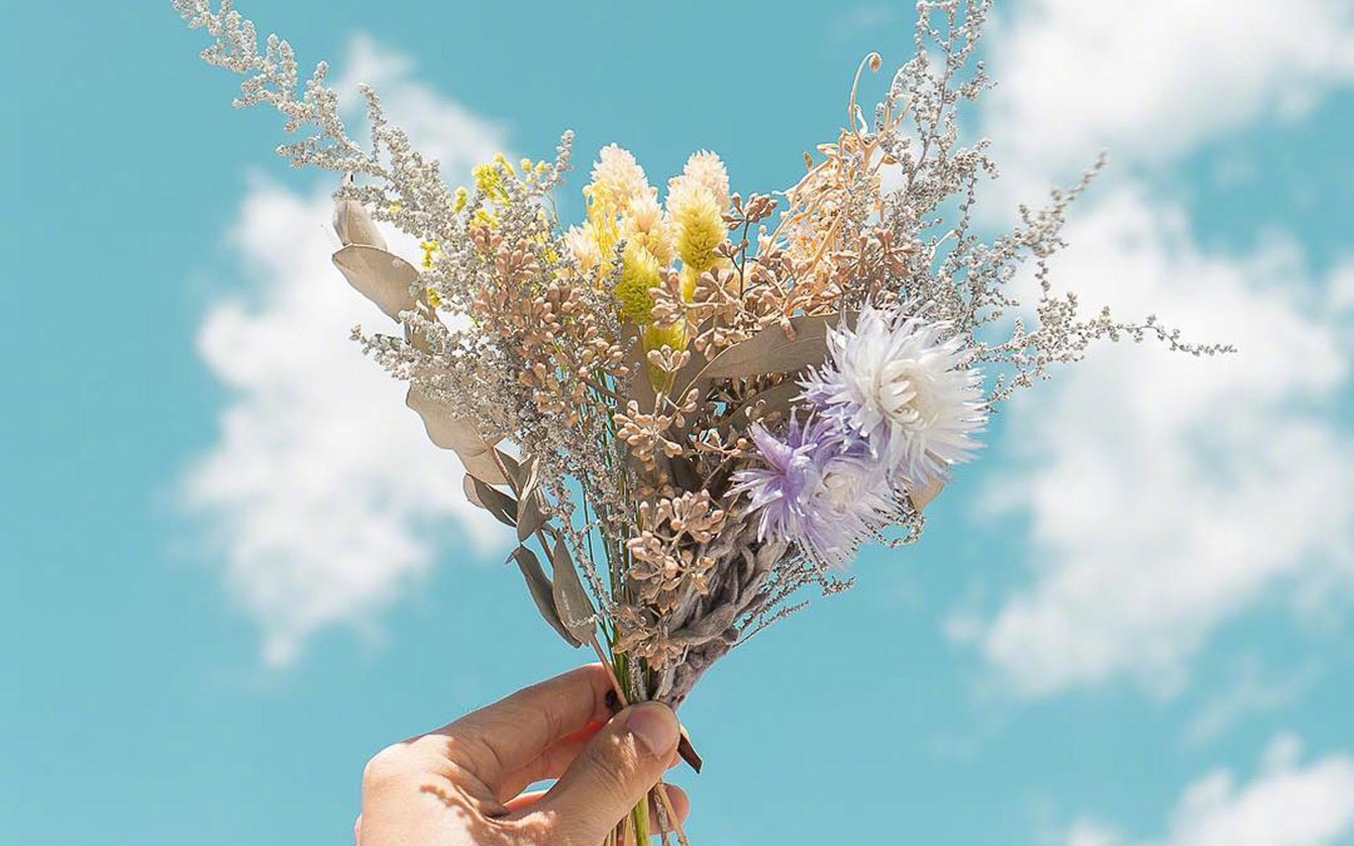 小清新 清新淡雅