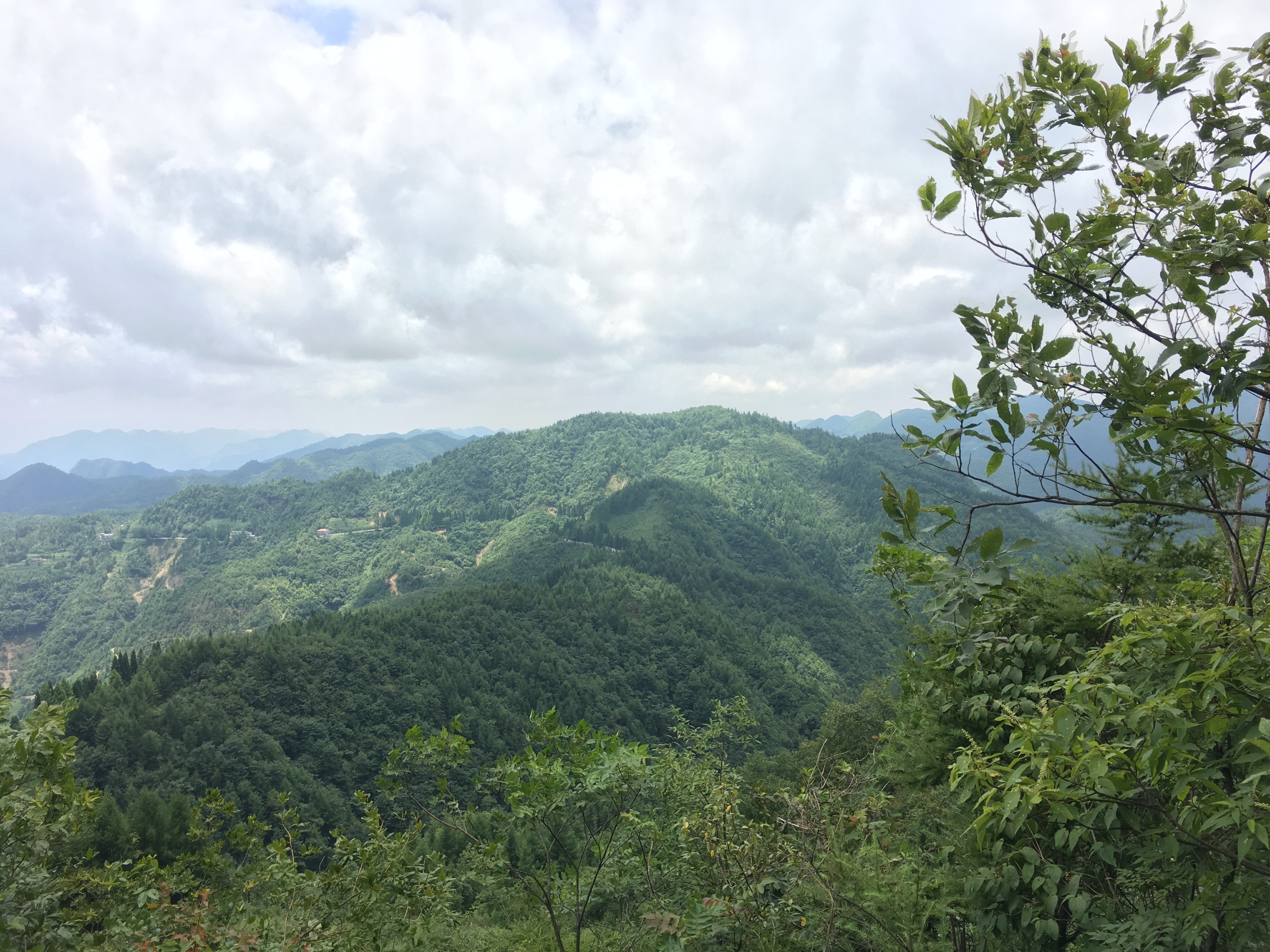 风景 自然