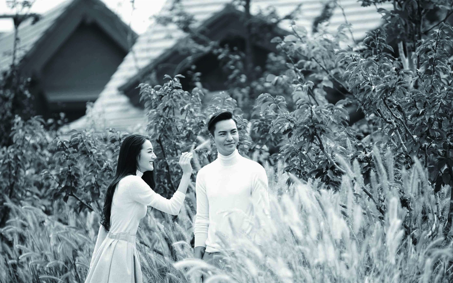 迪丽热巴 陈伟霆 甜蜜 情侣 宽屏