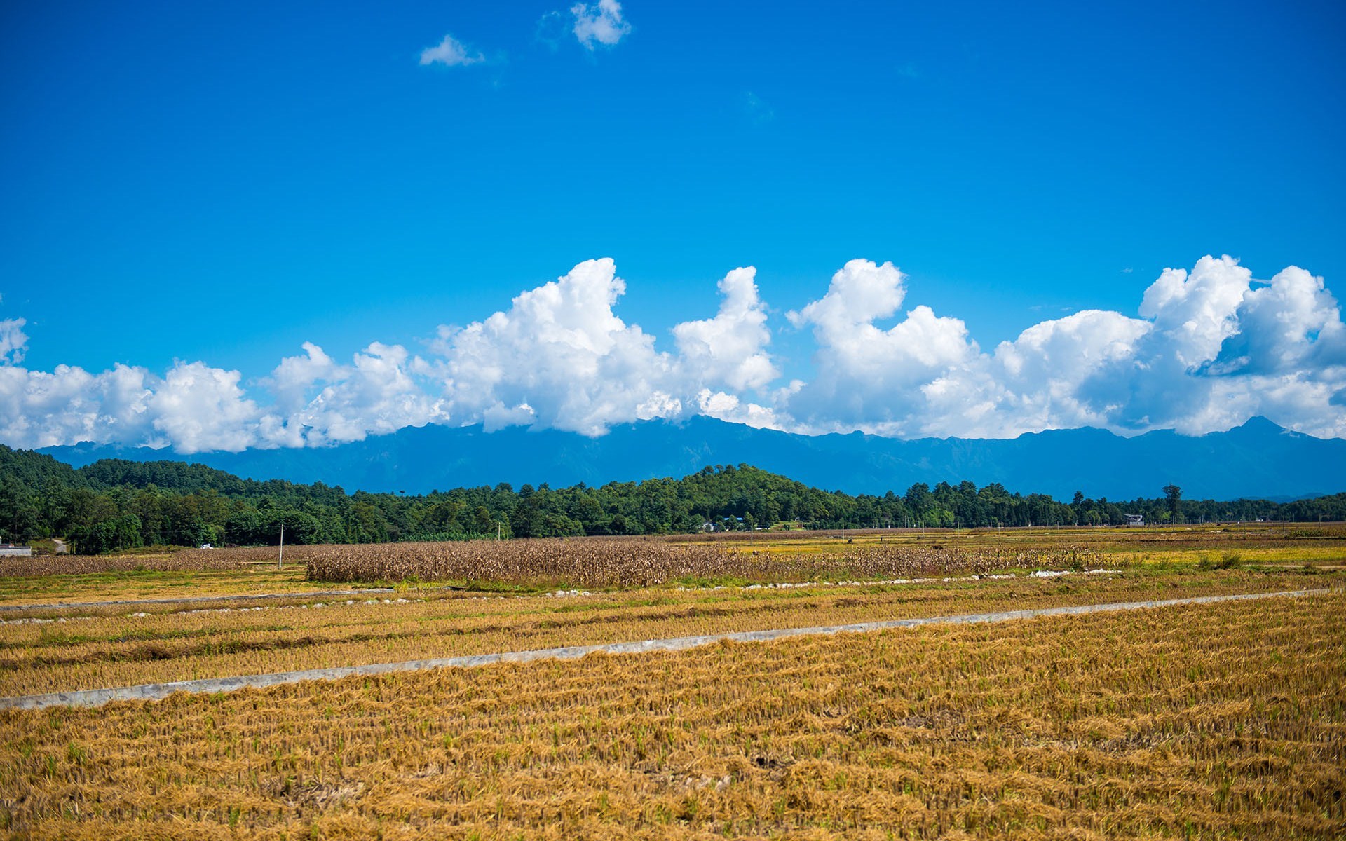 云南 风景 田野