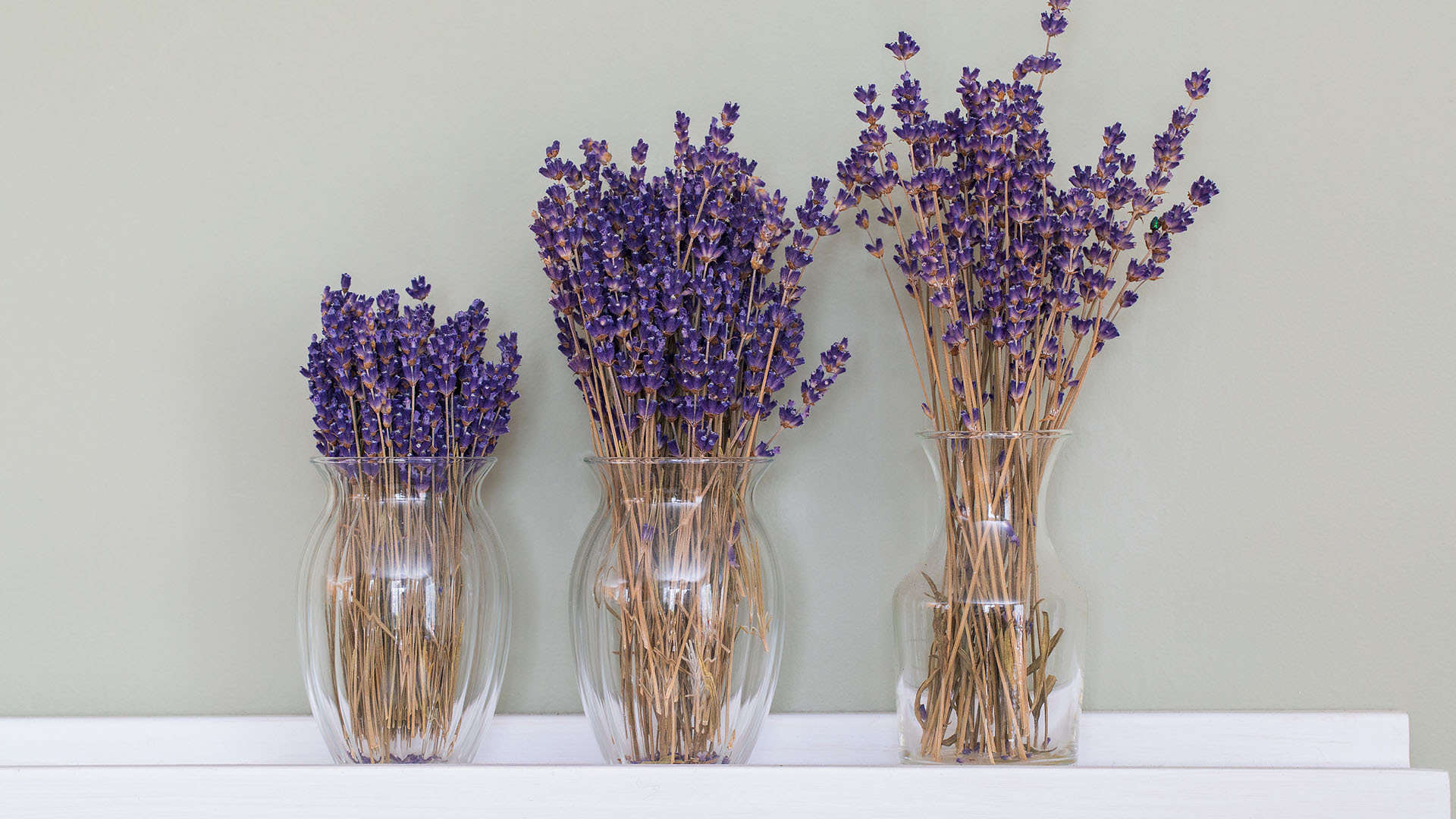 小清新 静物写真 干花  花束