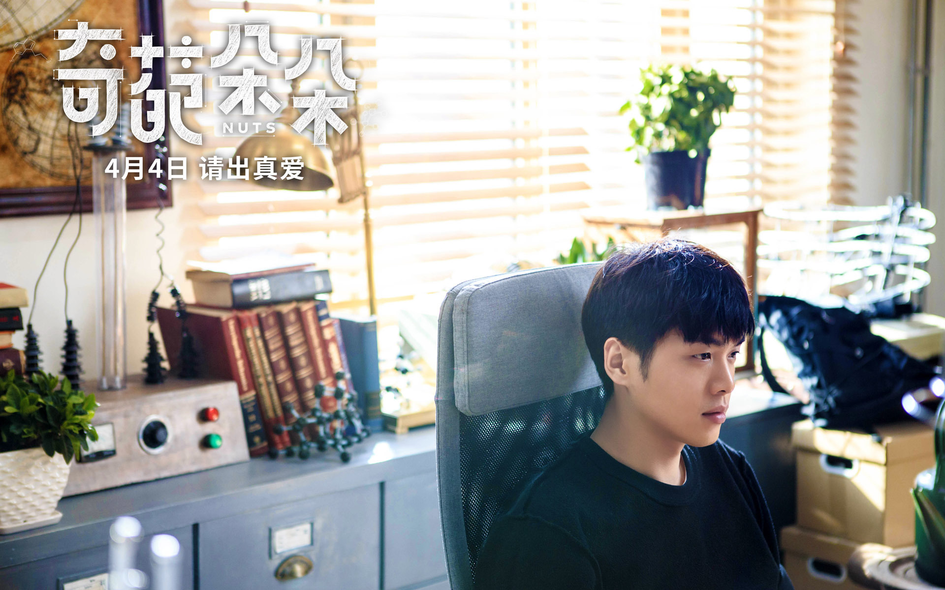 影视 电影 奇葩朵朵 张若昀