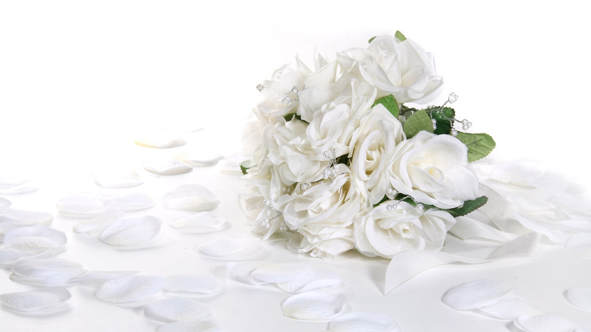 唯美温馨 白玫瑰花