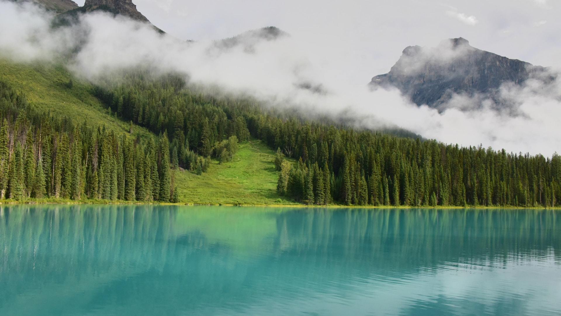风景 森林 湖泊 云雾