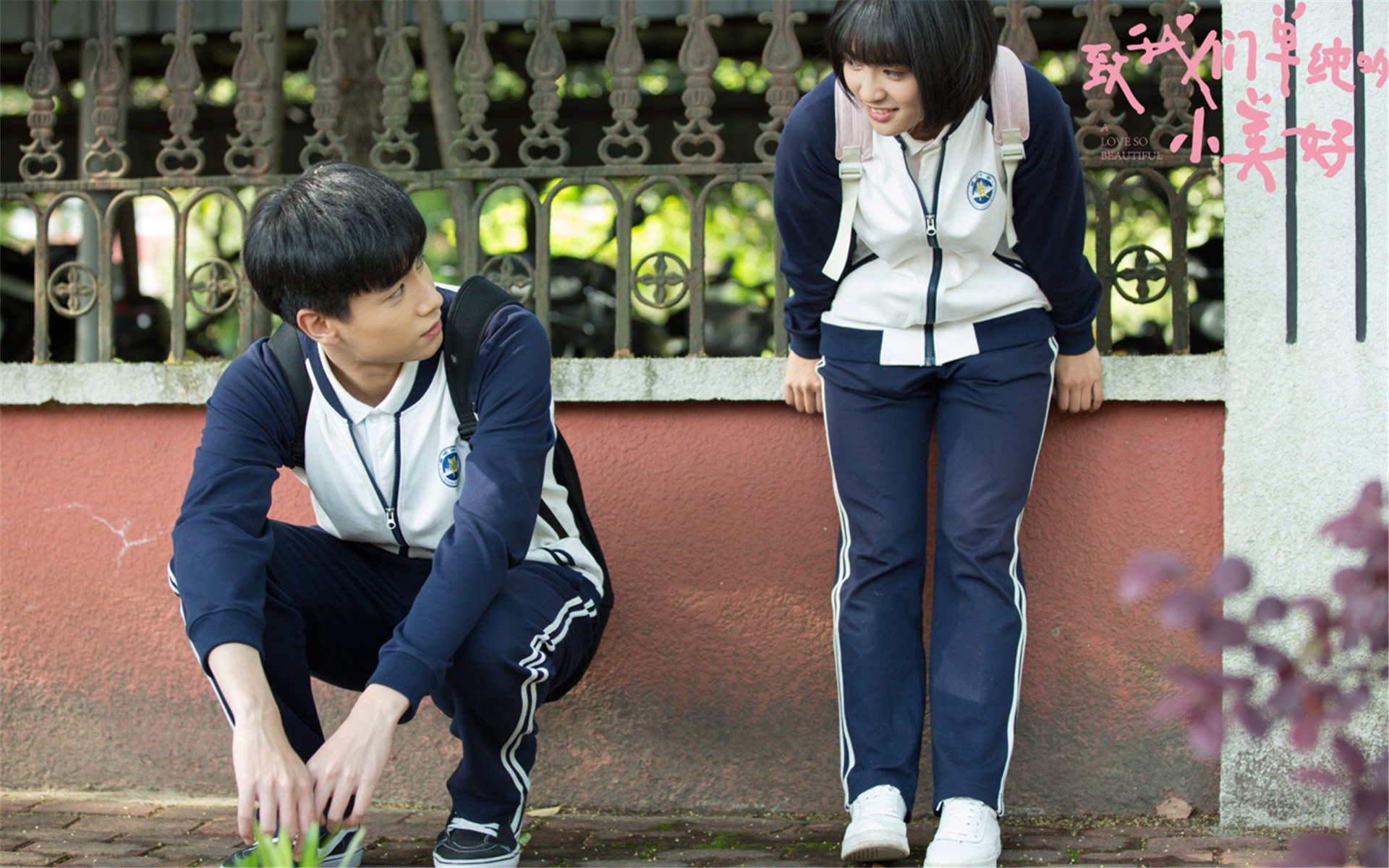 影视 电视剧 致我们单纯的小美好