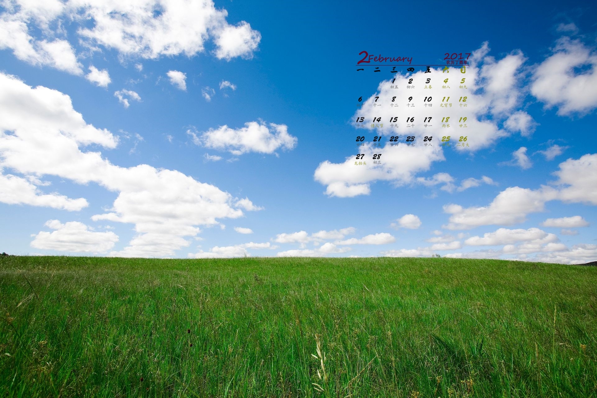 2月 蓝天 草地