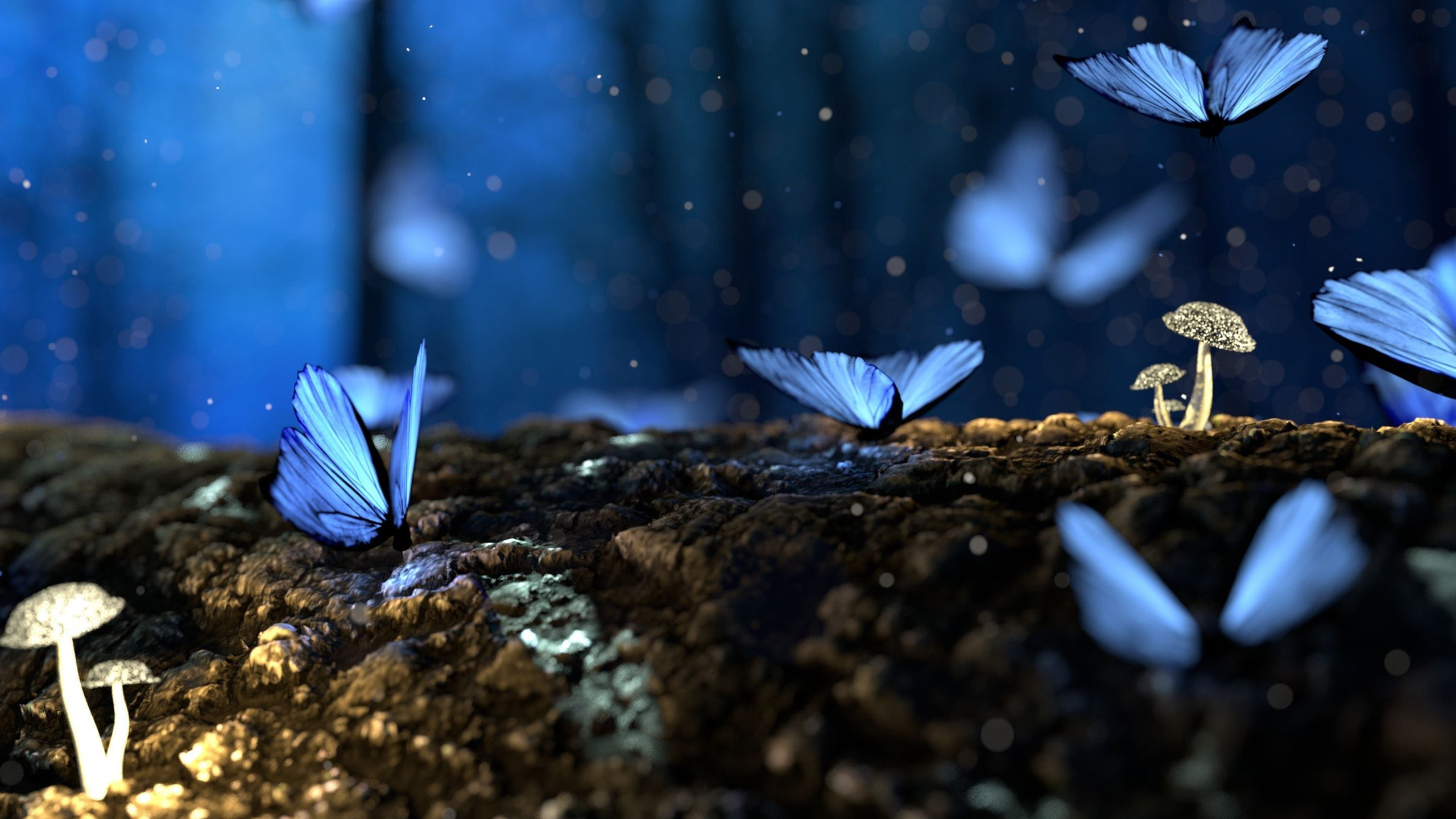 野生动物 蝴蝶 美丽 蘑菇 蓝色