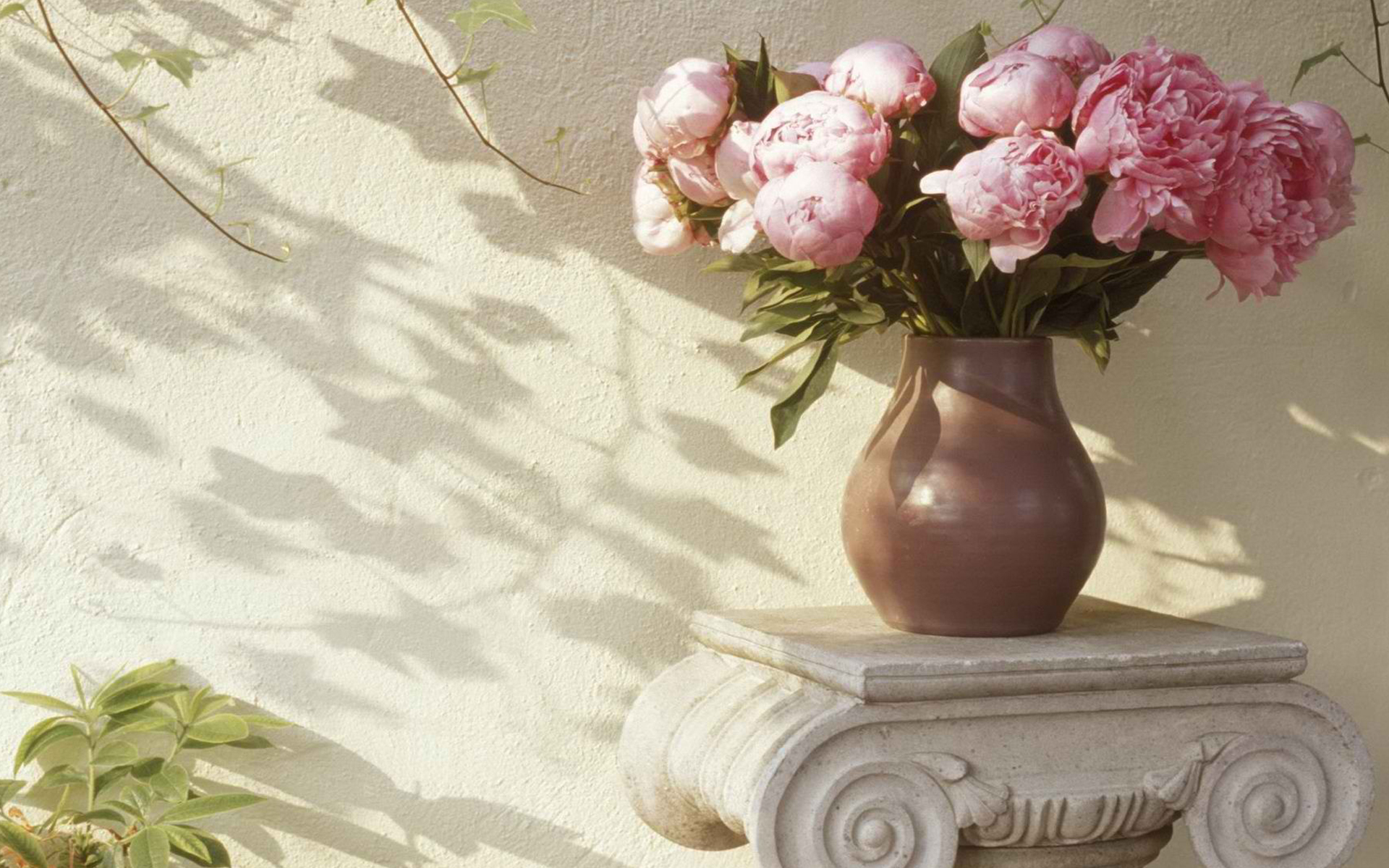 小清新 花瓶 简单 温馨