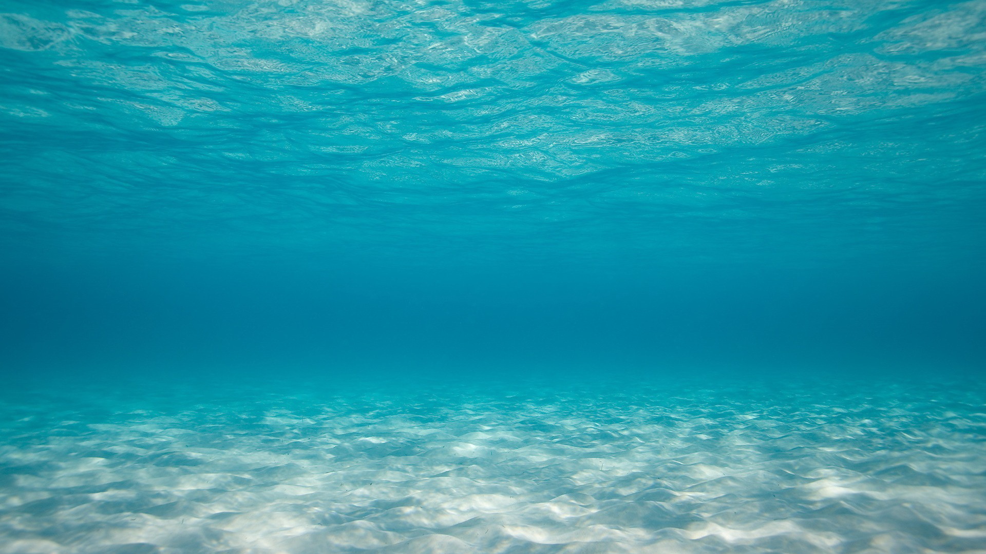 风景 深海
