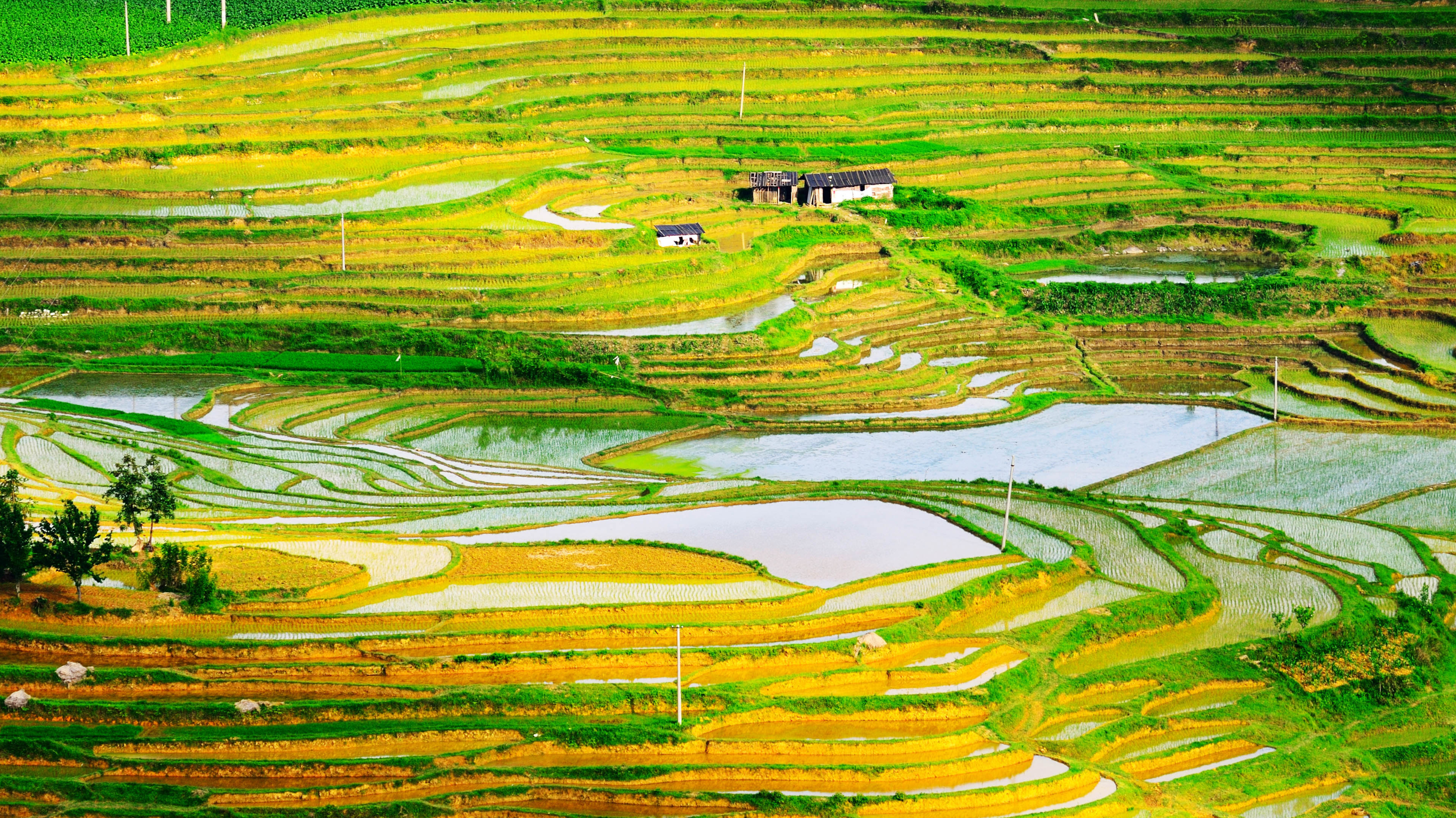 梯田 农田 乡村