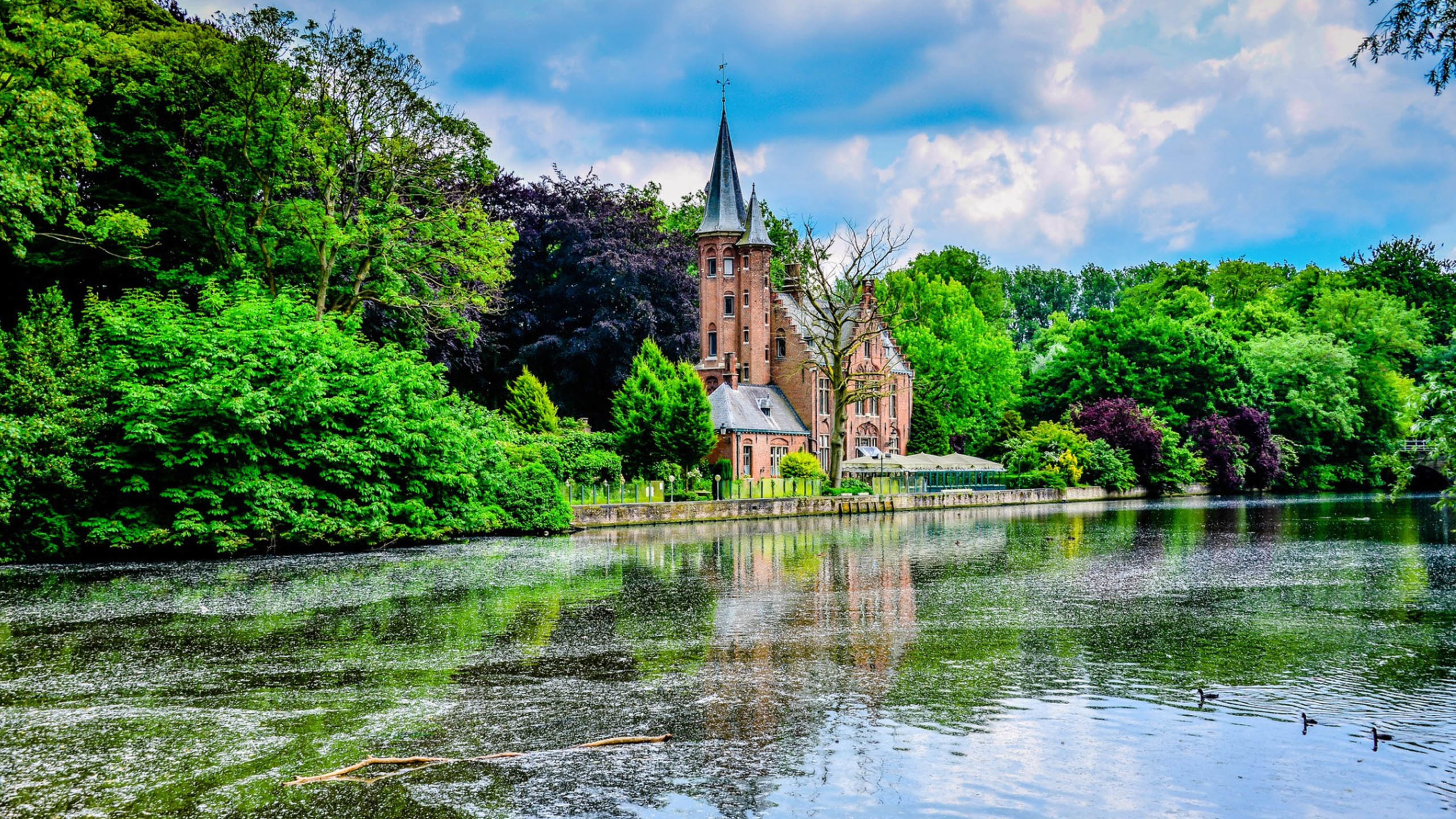 建筑 河流 树林 绿色