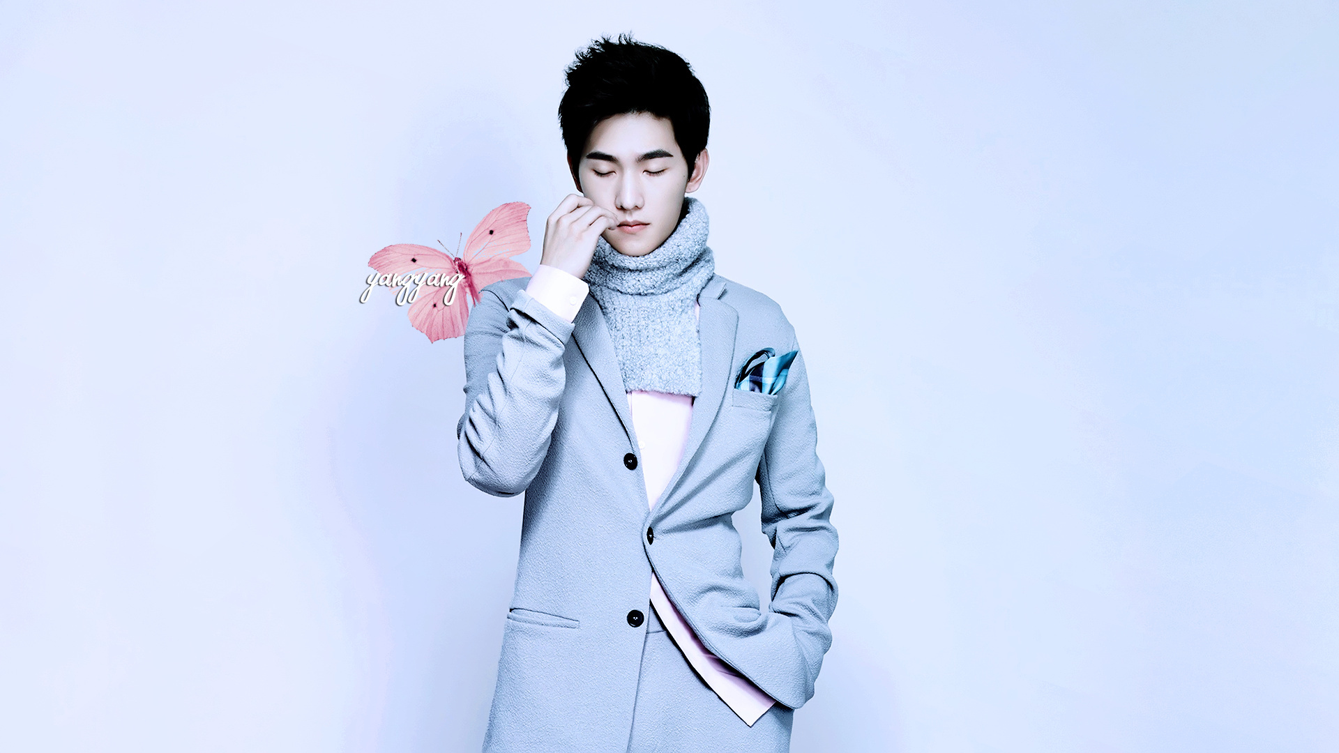 杨洋 明星 帅哥 宽屏 小鲜肉