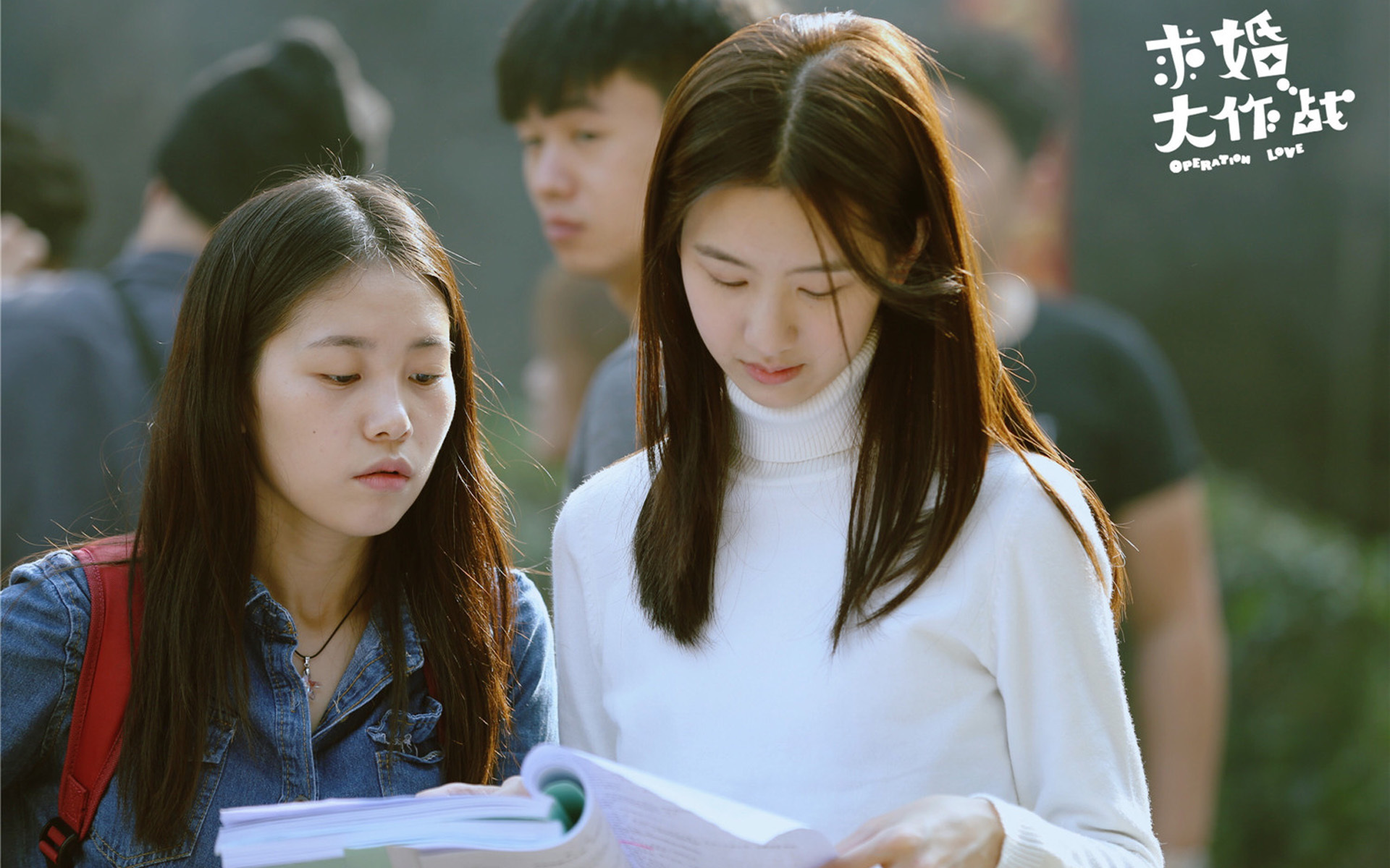 求婚大作战 陈都灵