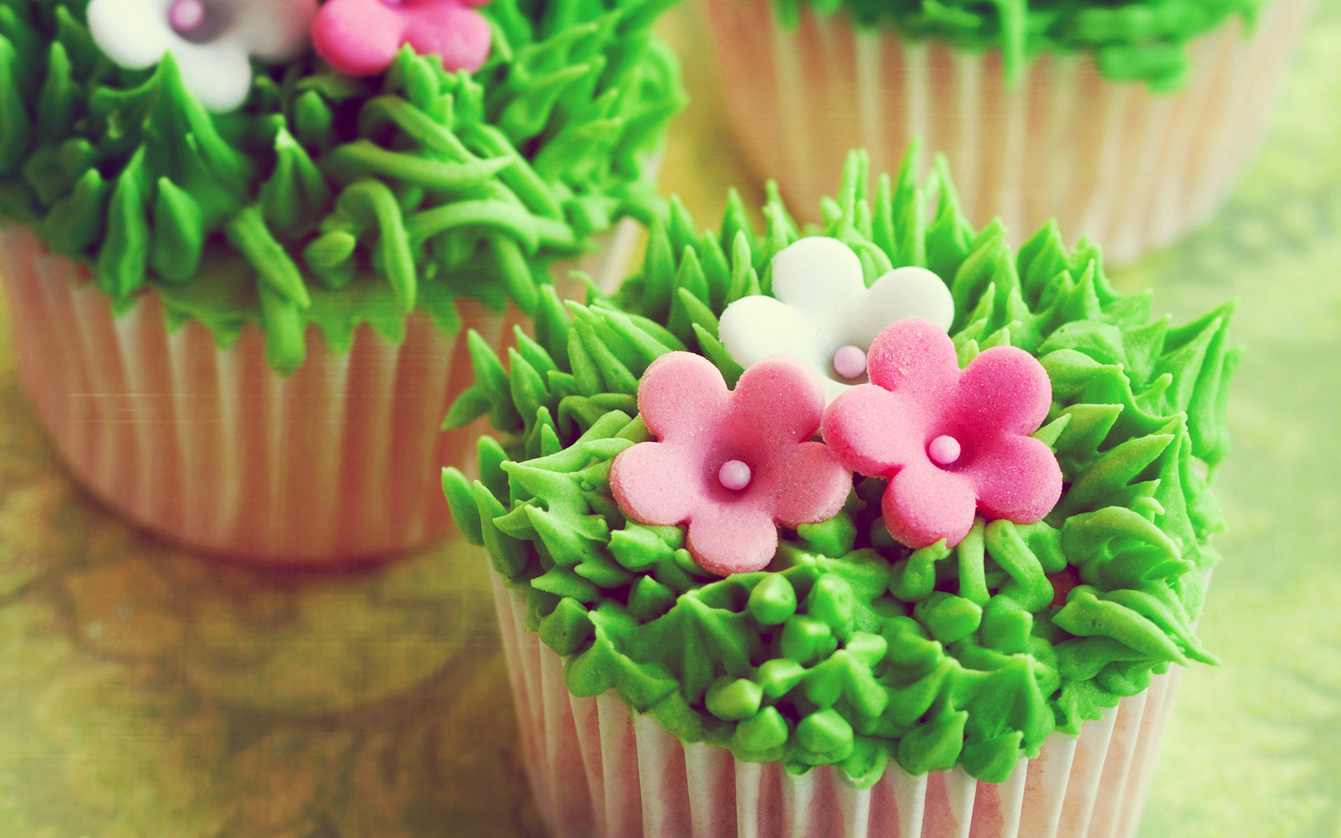 小清新 盆景 清新 可爱 宽屏