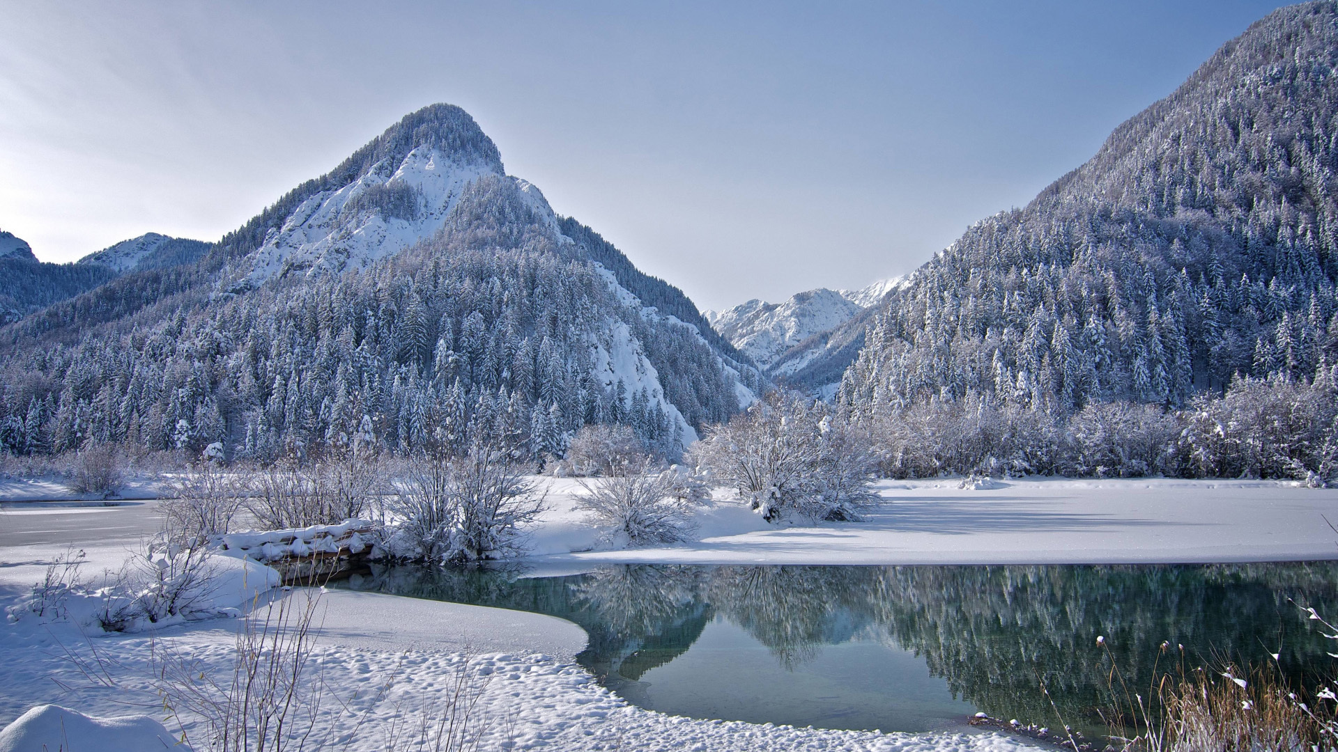 风景 冰天雪地 雪景 雾凇