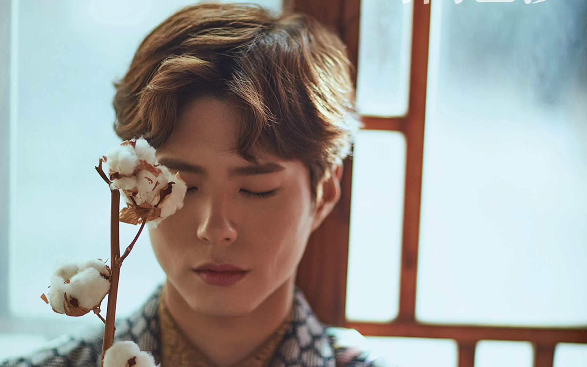 日韩明星 朴宝剑