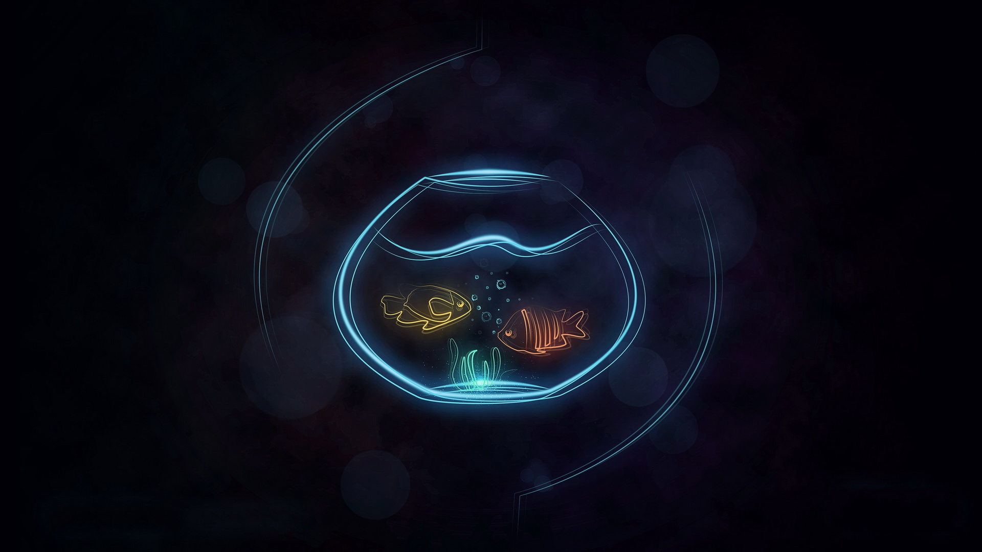 鱼缸 金鱼 艺术