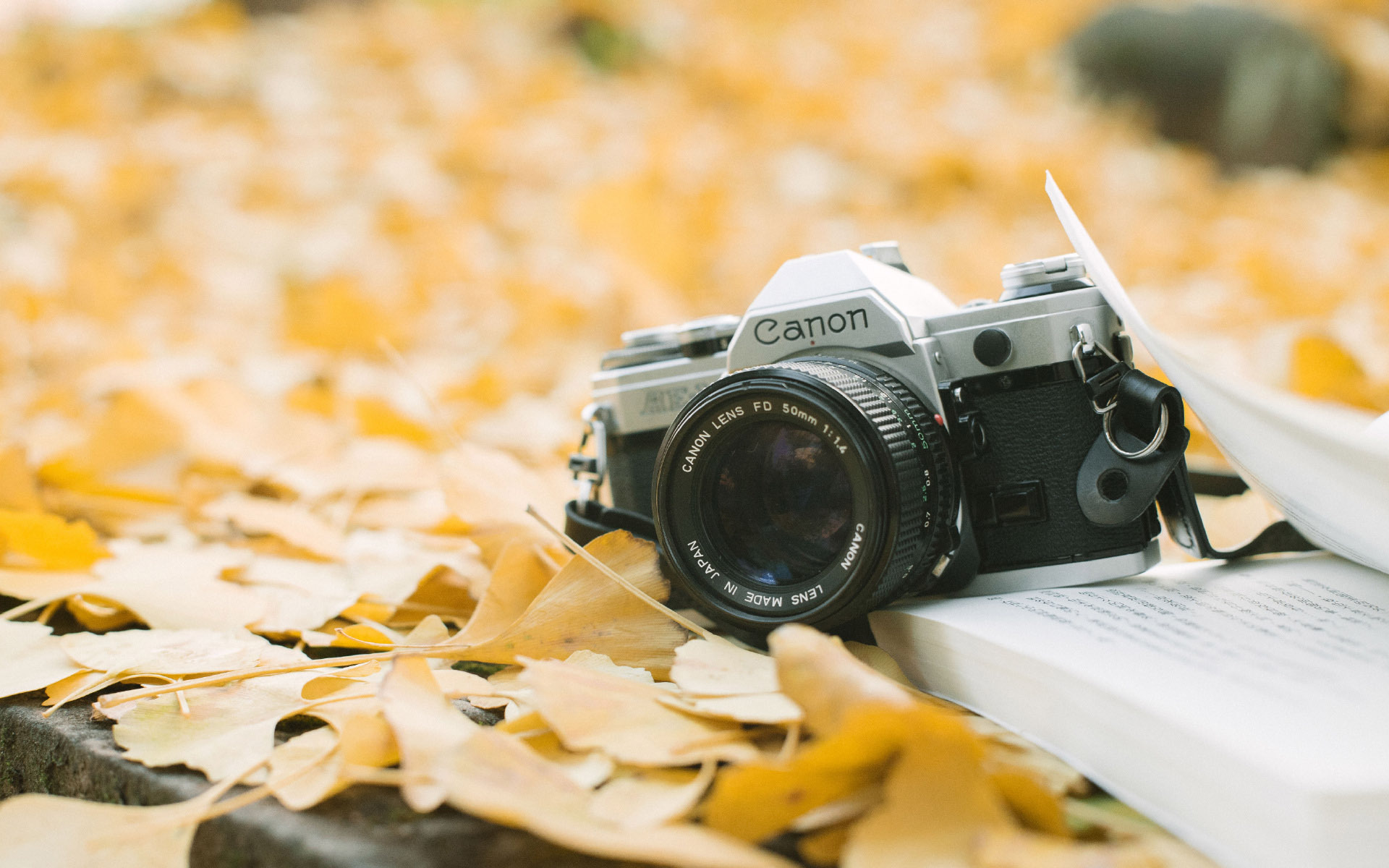 小清新 温馨一刻