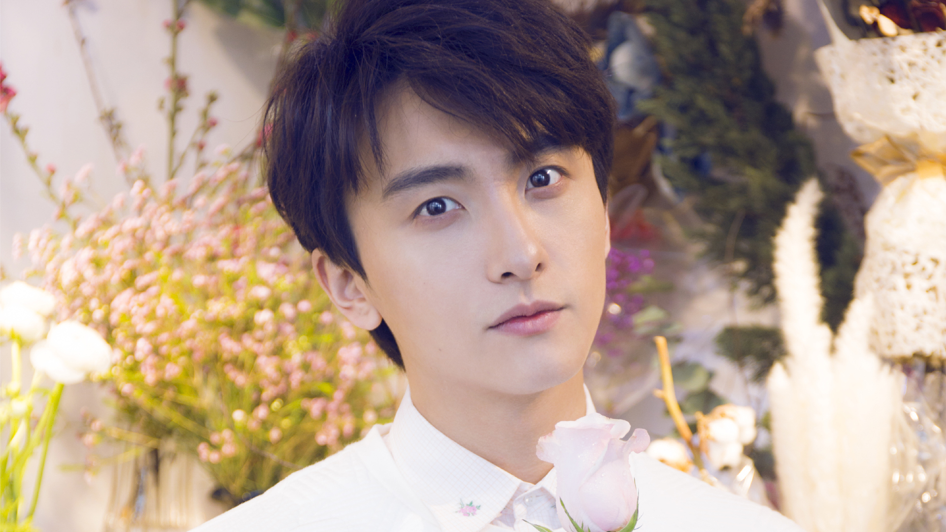 内地明星 牛骏峰