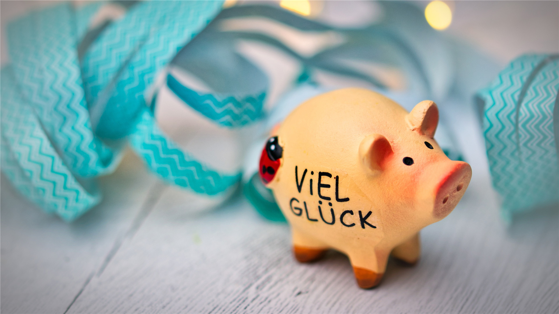 小清新 静物写真 猪