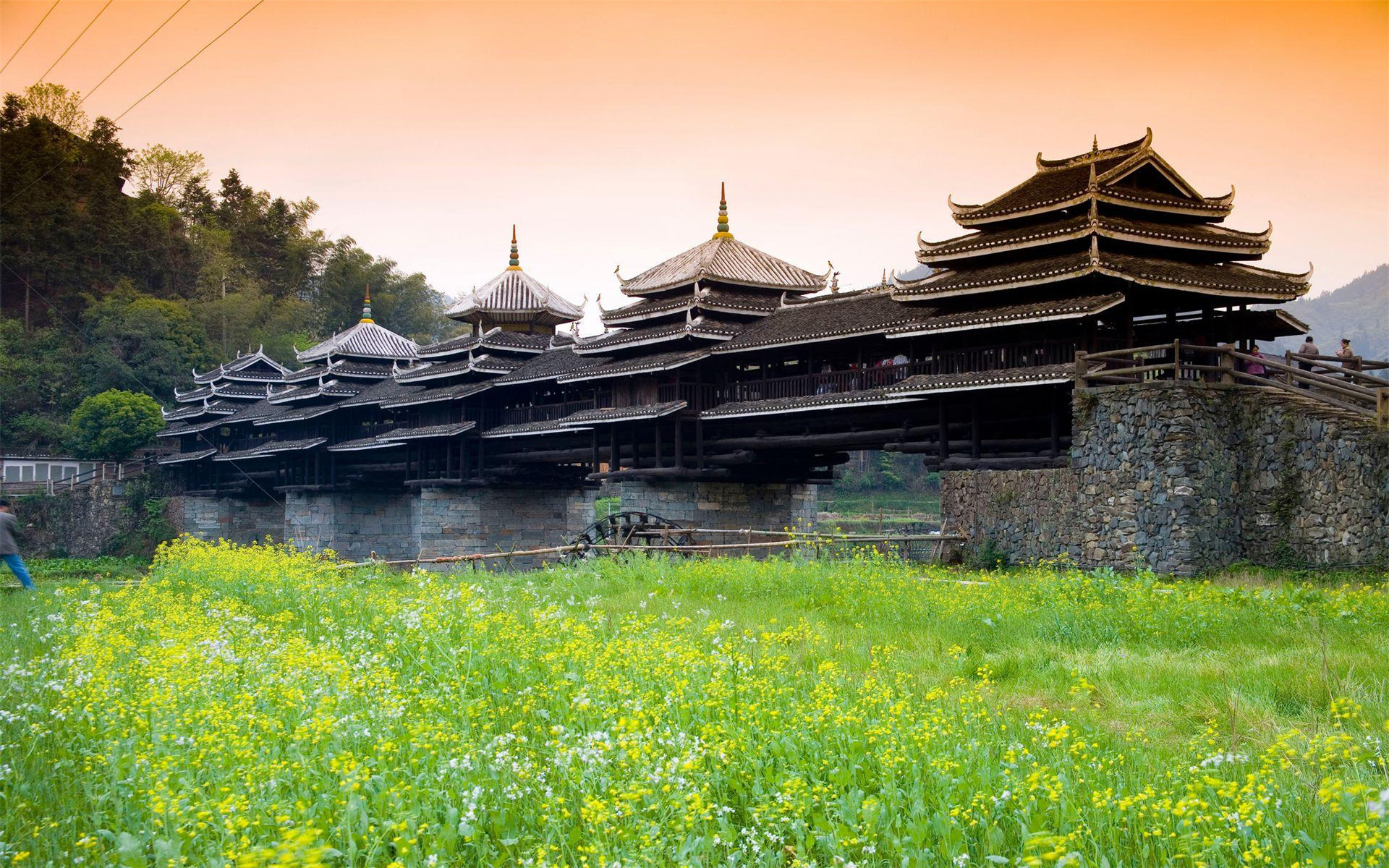 风景 三江古城 油菜花 宽屏