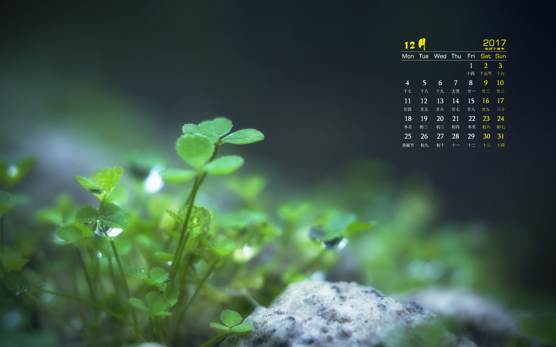 月历 2017年12月
