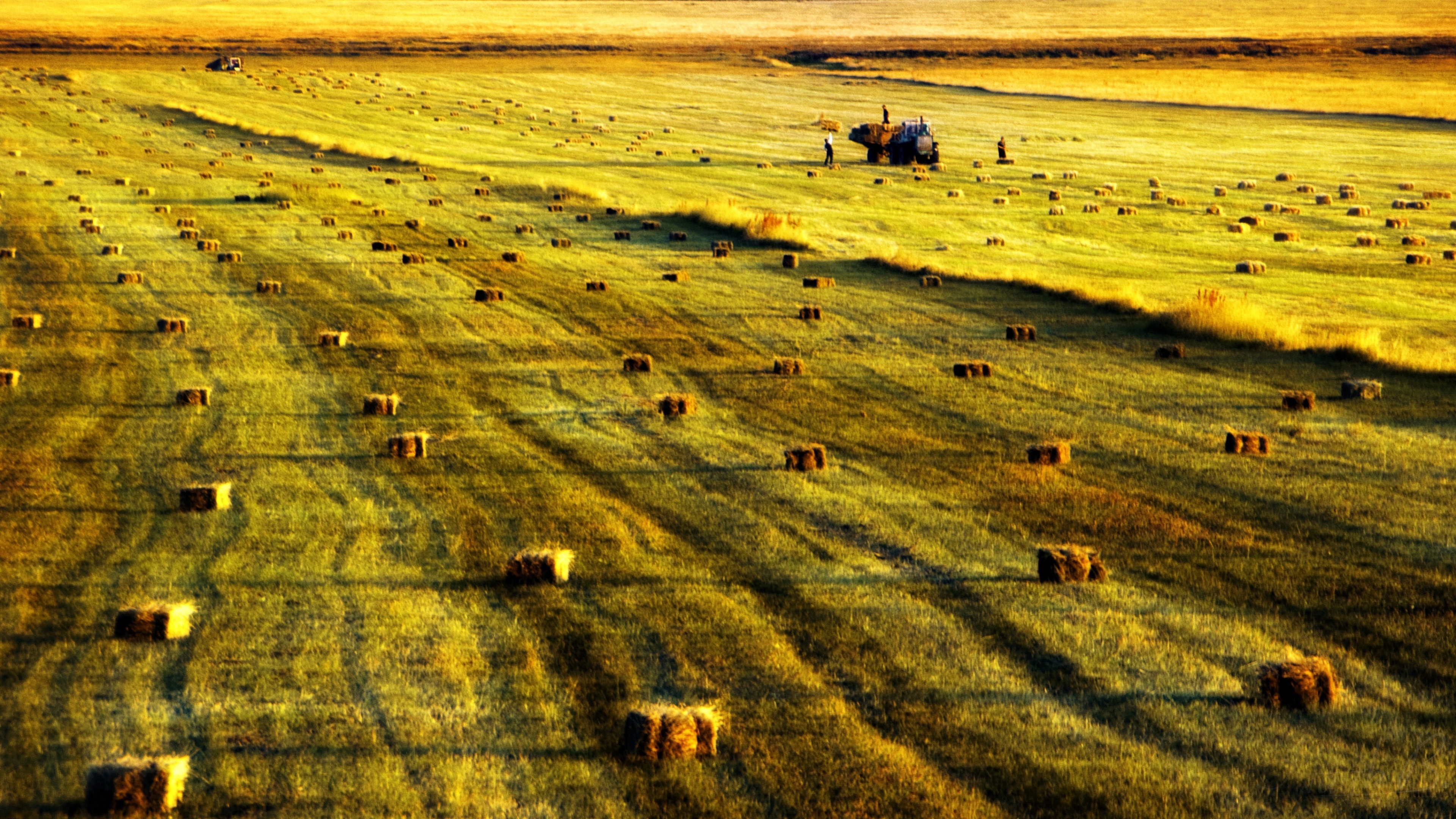 风景 田园 收割 秋天