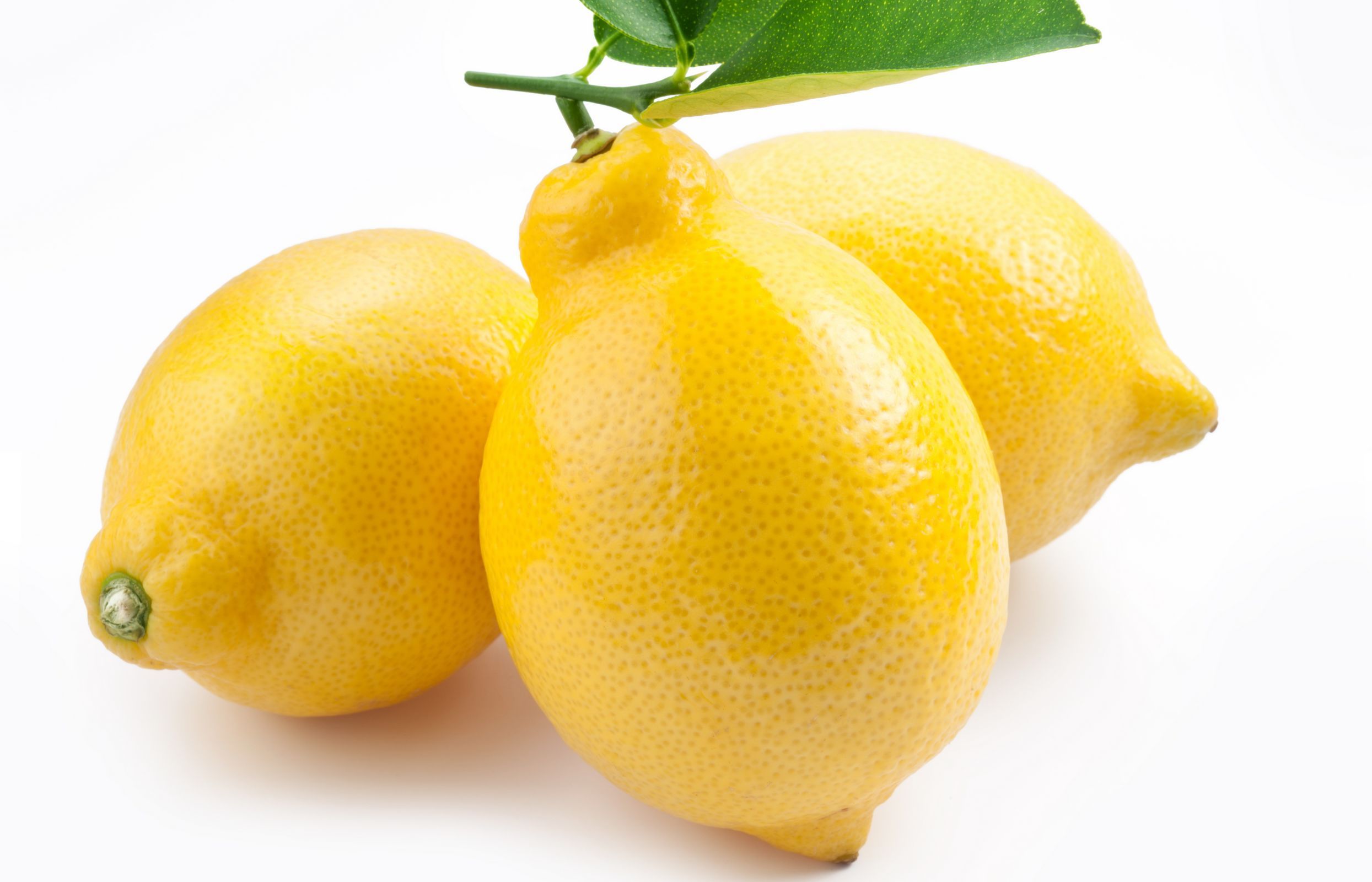 动感水果 柠檬